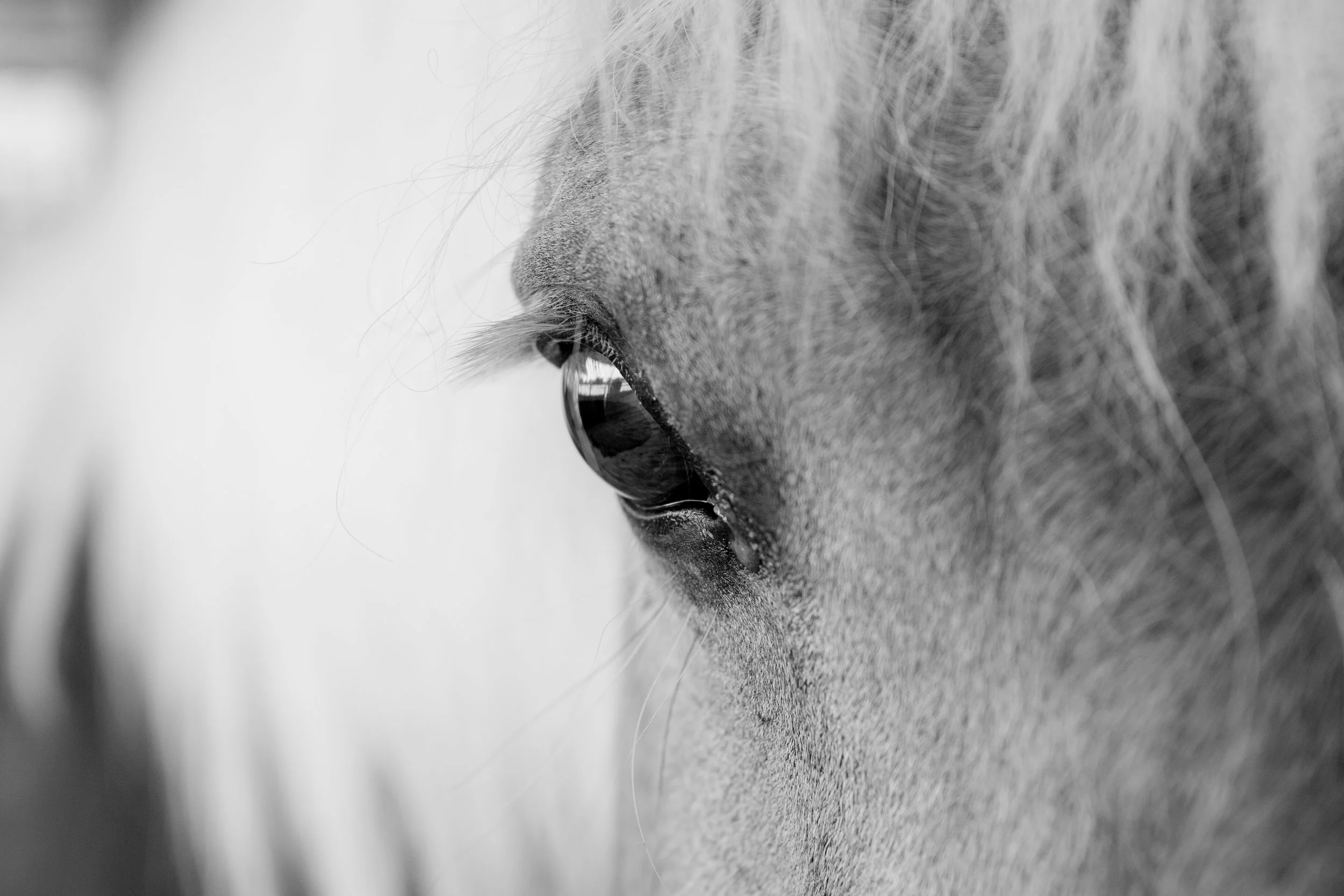 Sympathy vs. Empathy: Quiet Power of Presence
