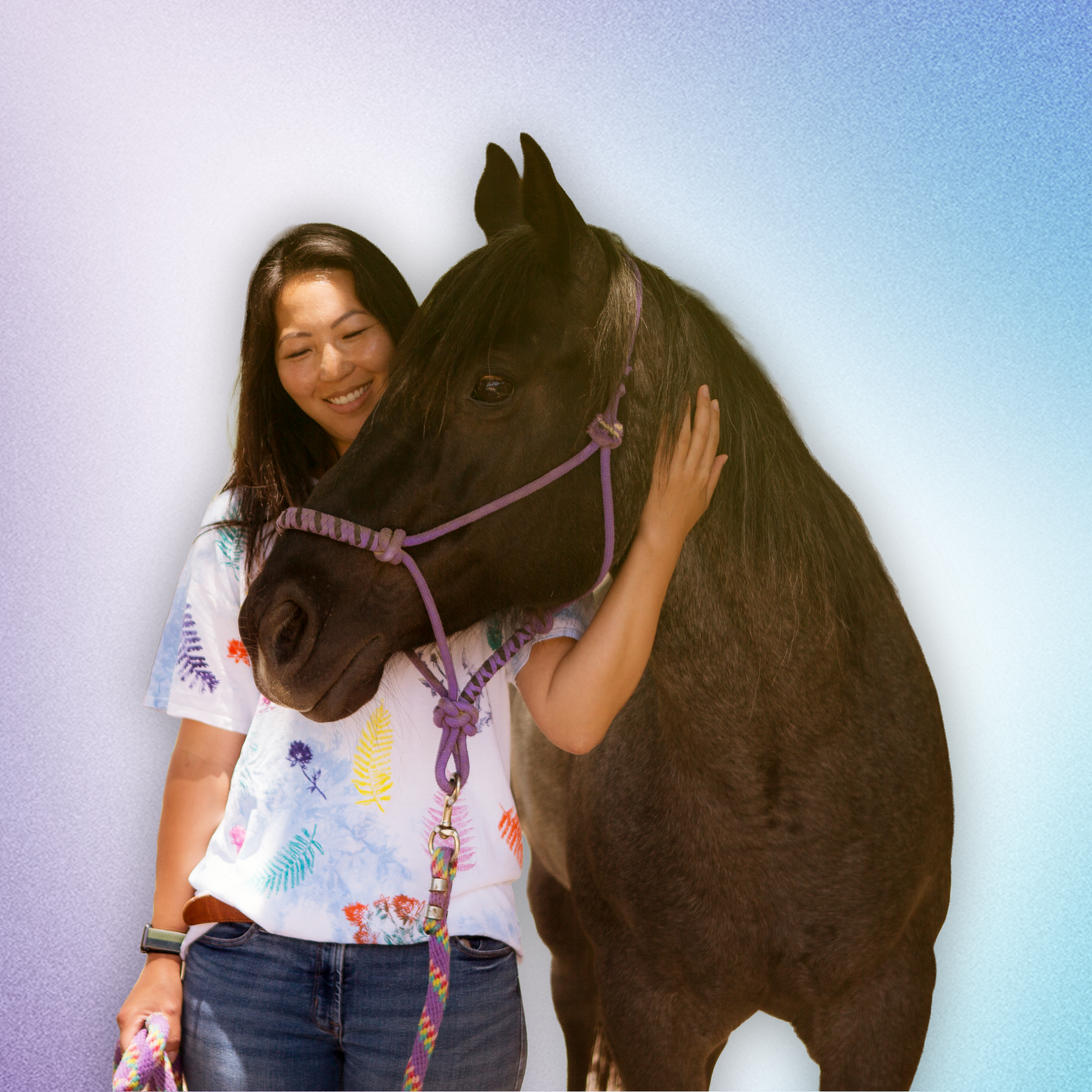 Horses & Hearts Connection