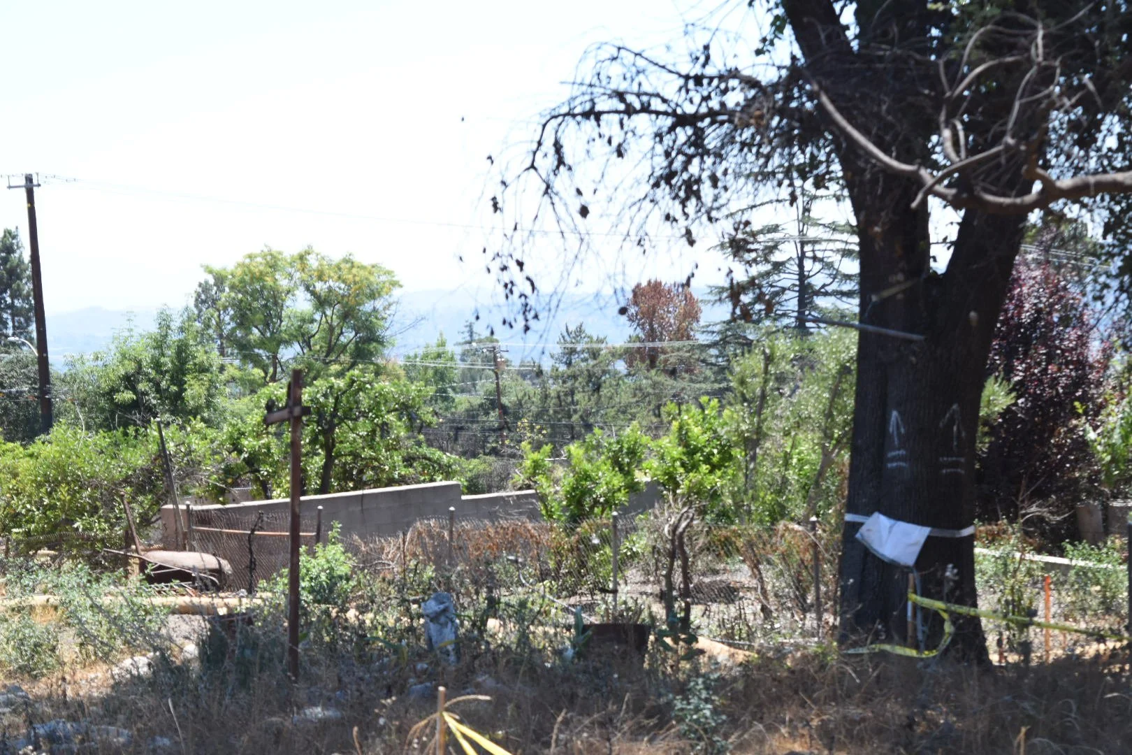 Damaged Home Property - Altadena, CA