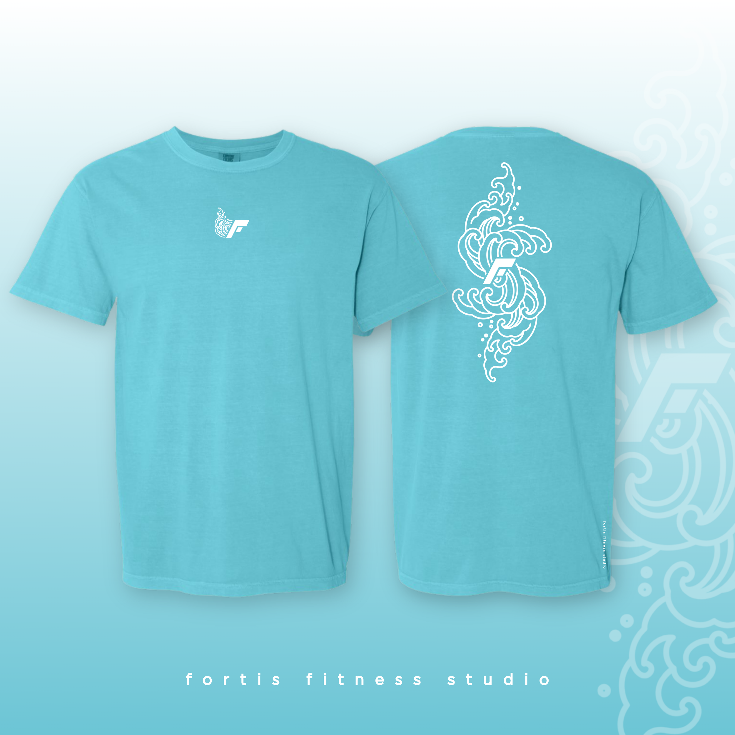 Fortis Spring Blue.png