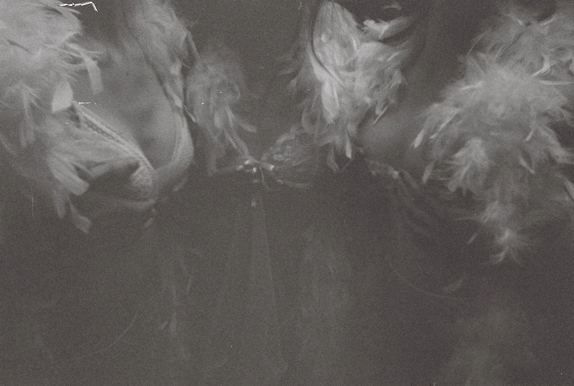 BURLESQUE.