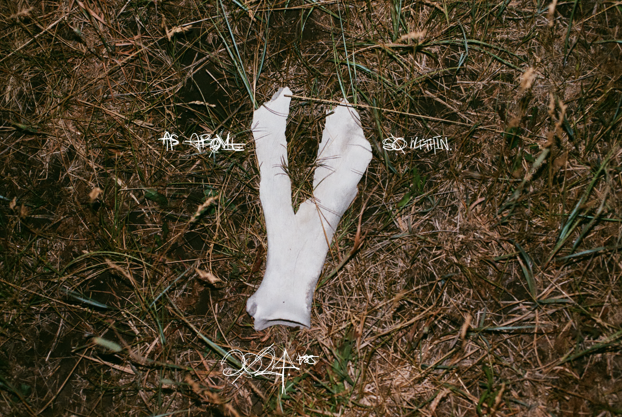 wishbone.png