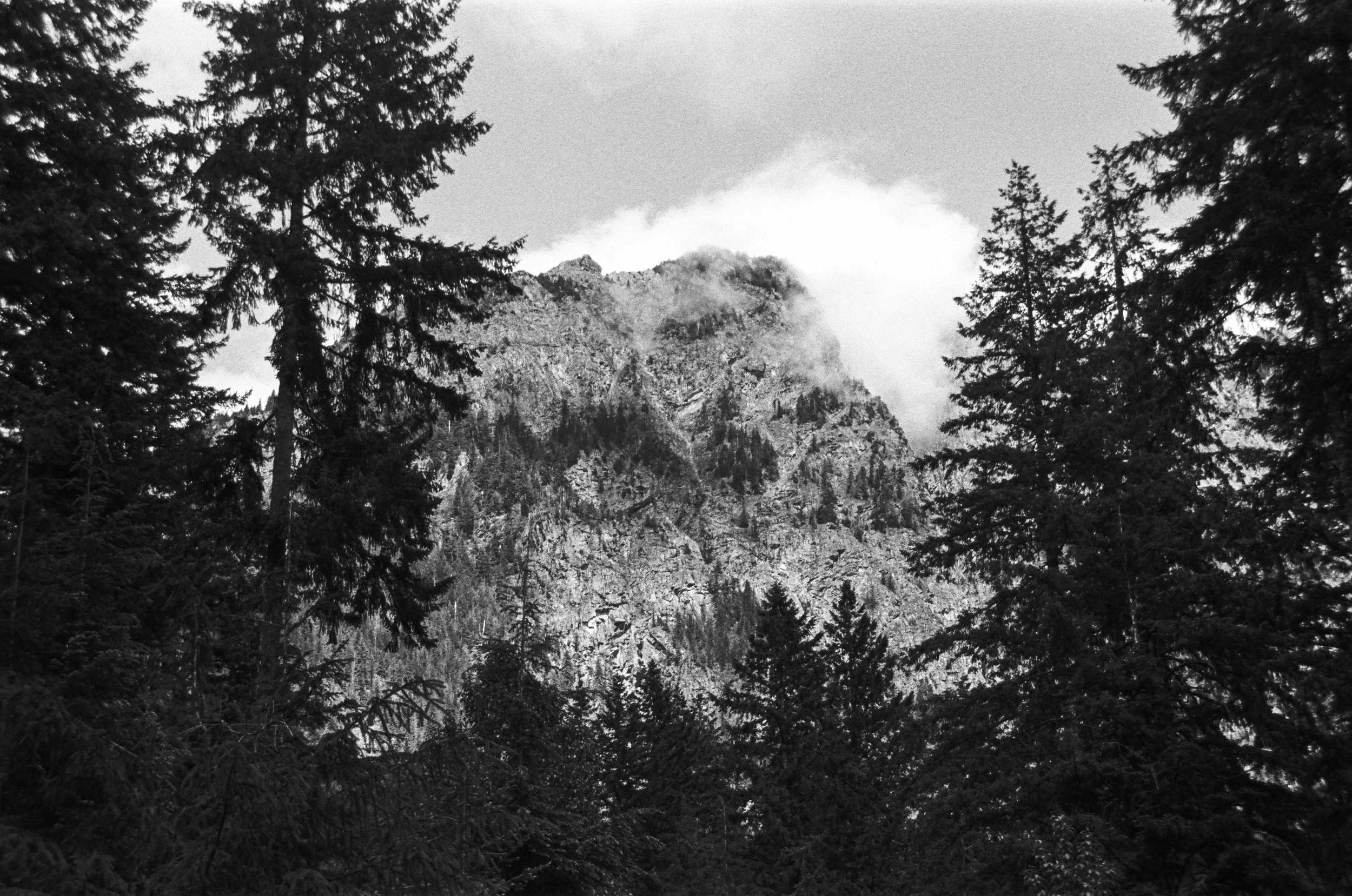 000061240004 copy.jpg