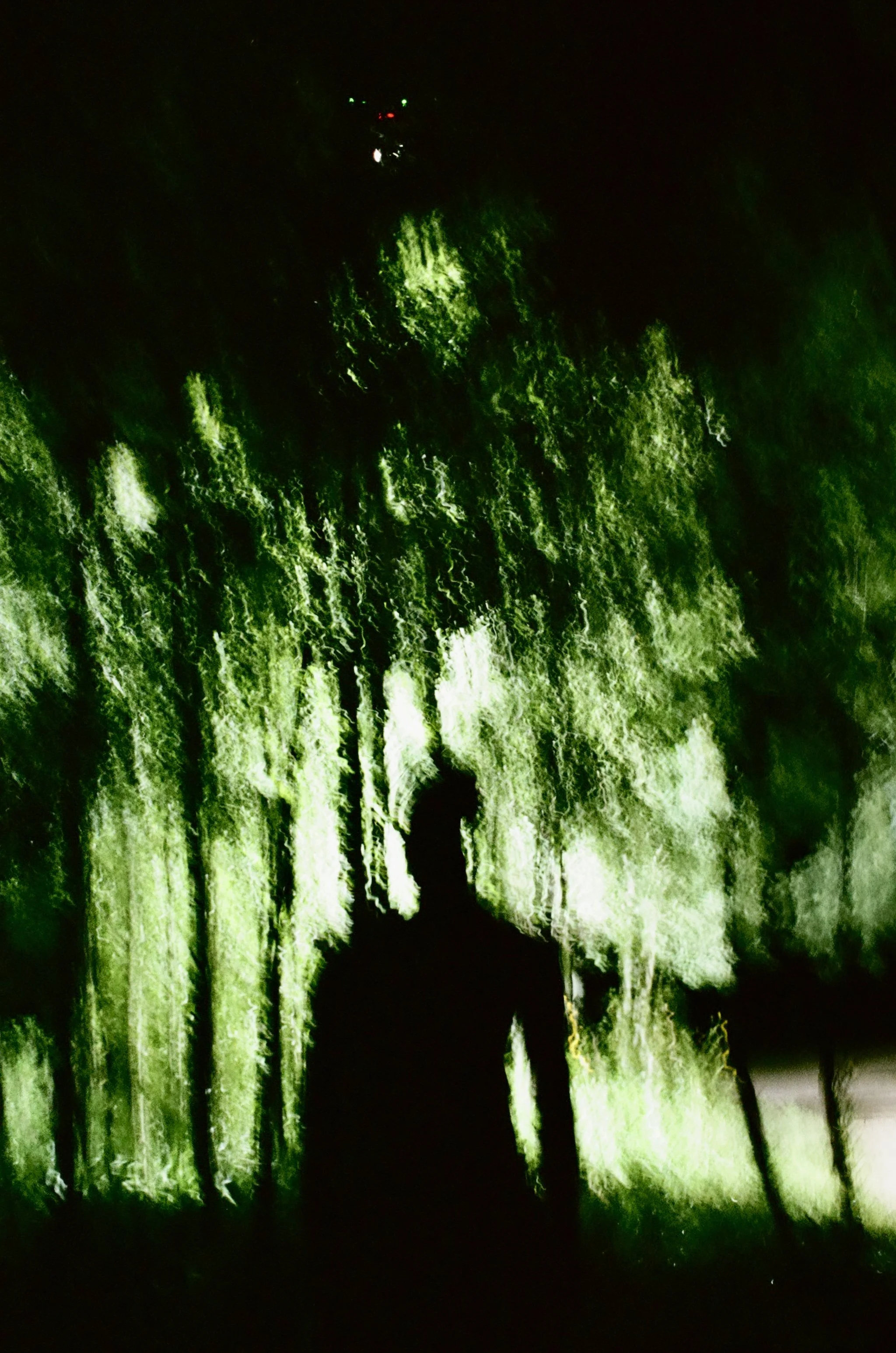 000078430017.jpg