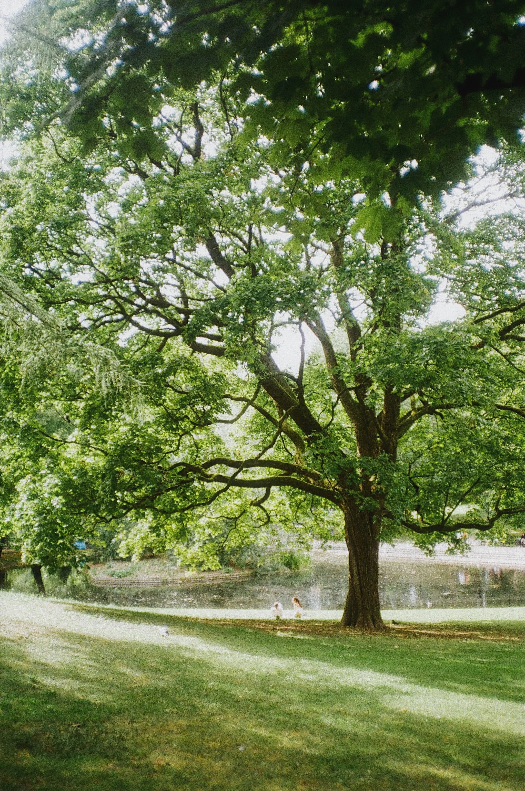 FullSizeRender_VSCO (3).jpg