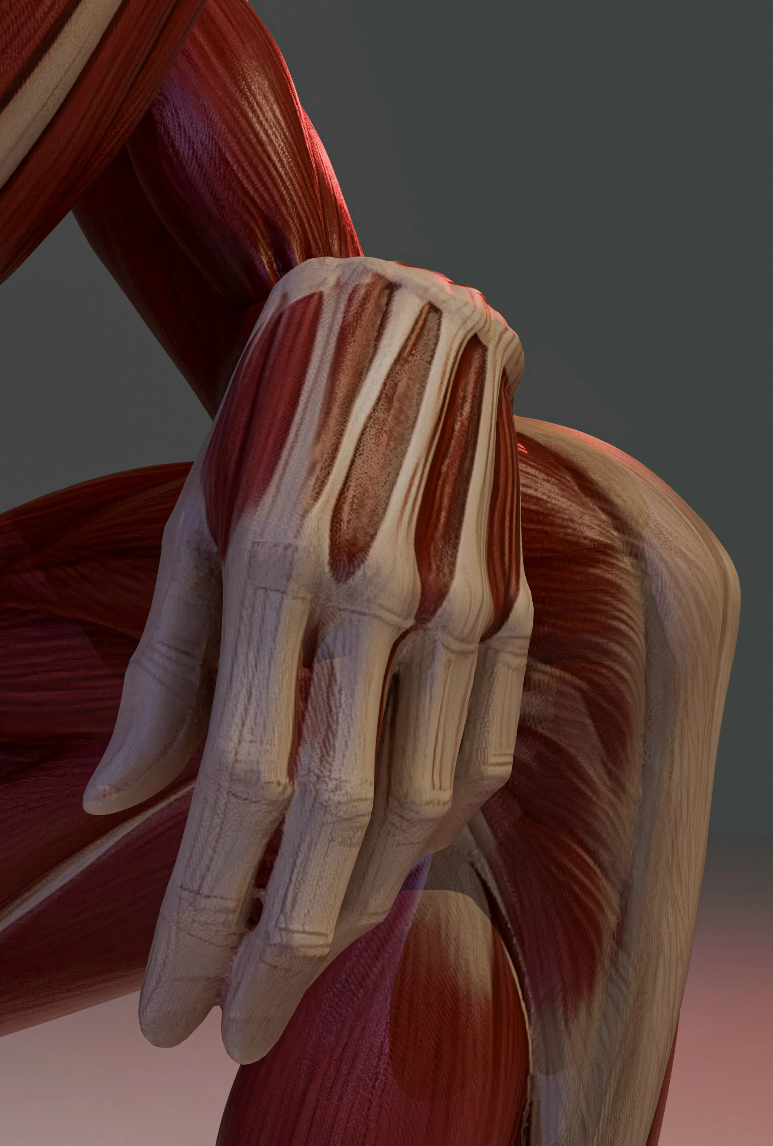 Training Programs to Strengthen Tendons