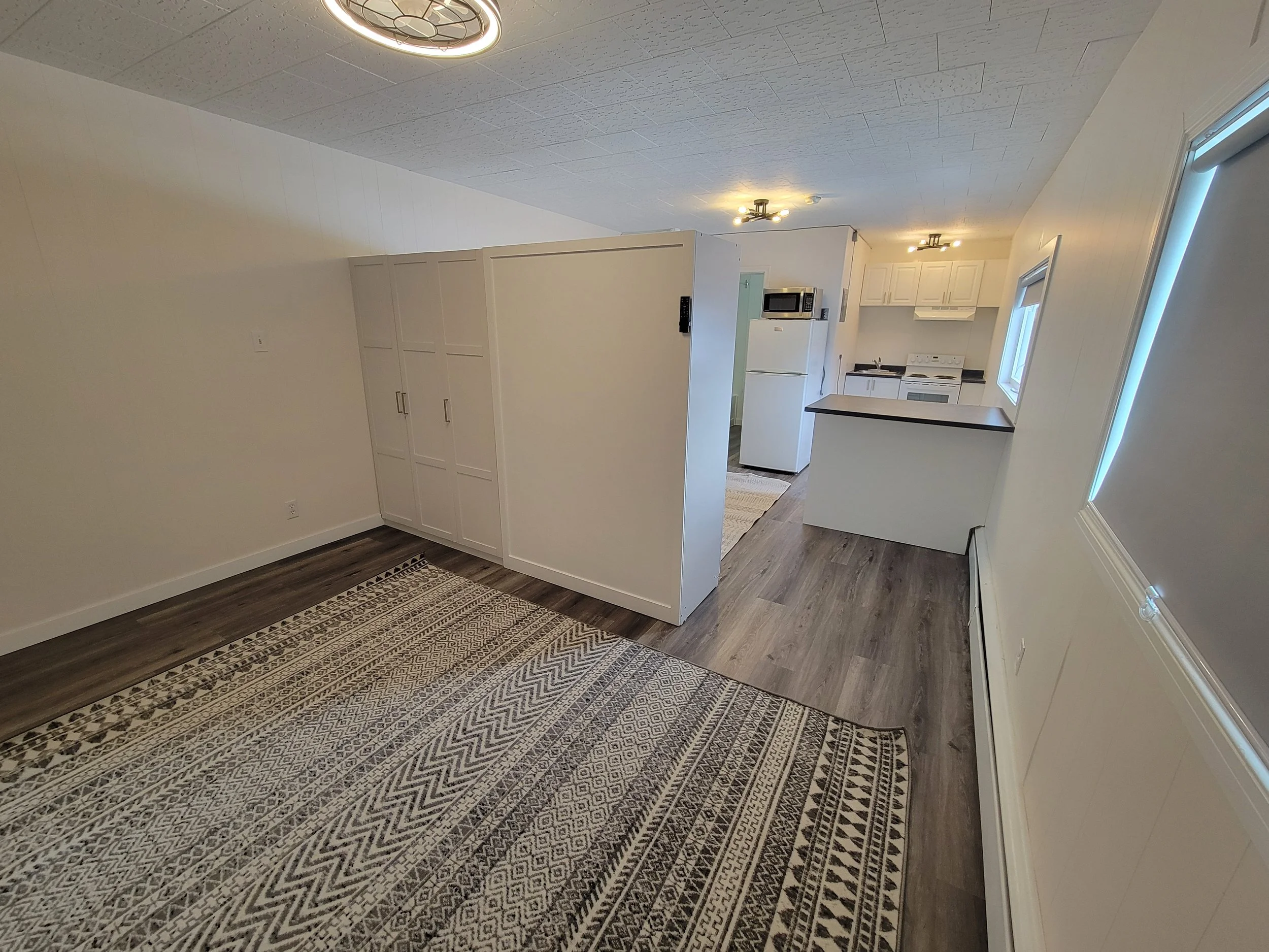 Interior view of a home with a patterned rug on a wood floor, white walls, a white kitchen with appliances, a window with blinds, and ceiling lights.
