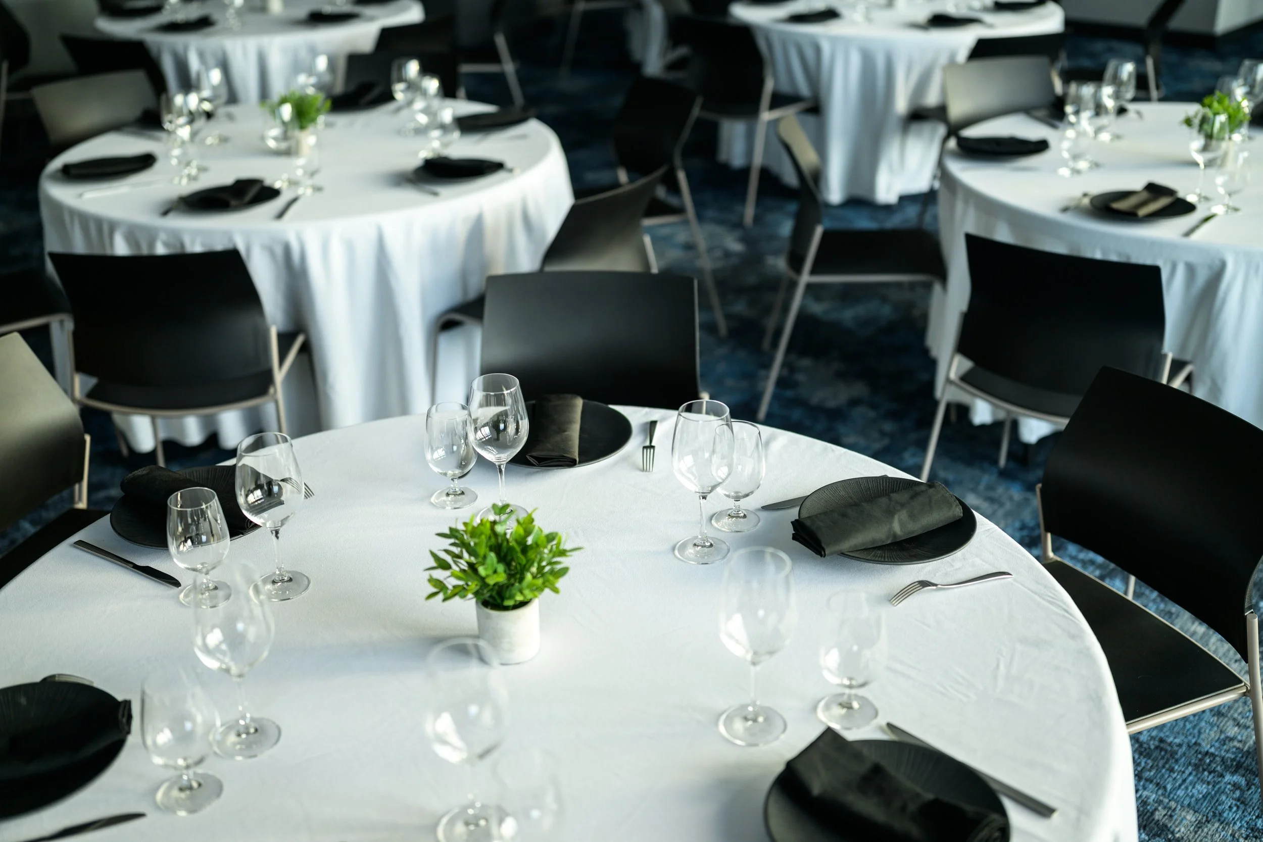 Empty banquet tables with white tablecloths, black chairs, and glassware ready for guests, decorated with small green potted plants.