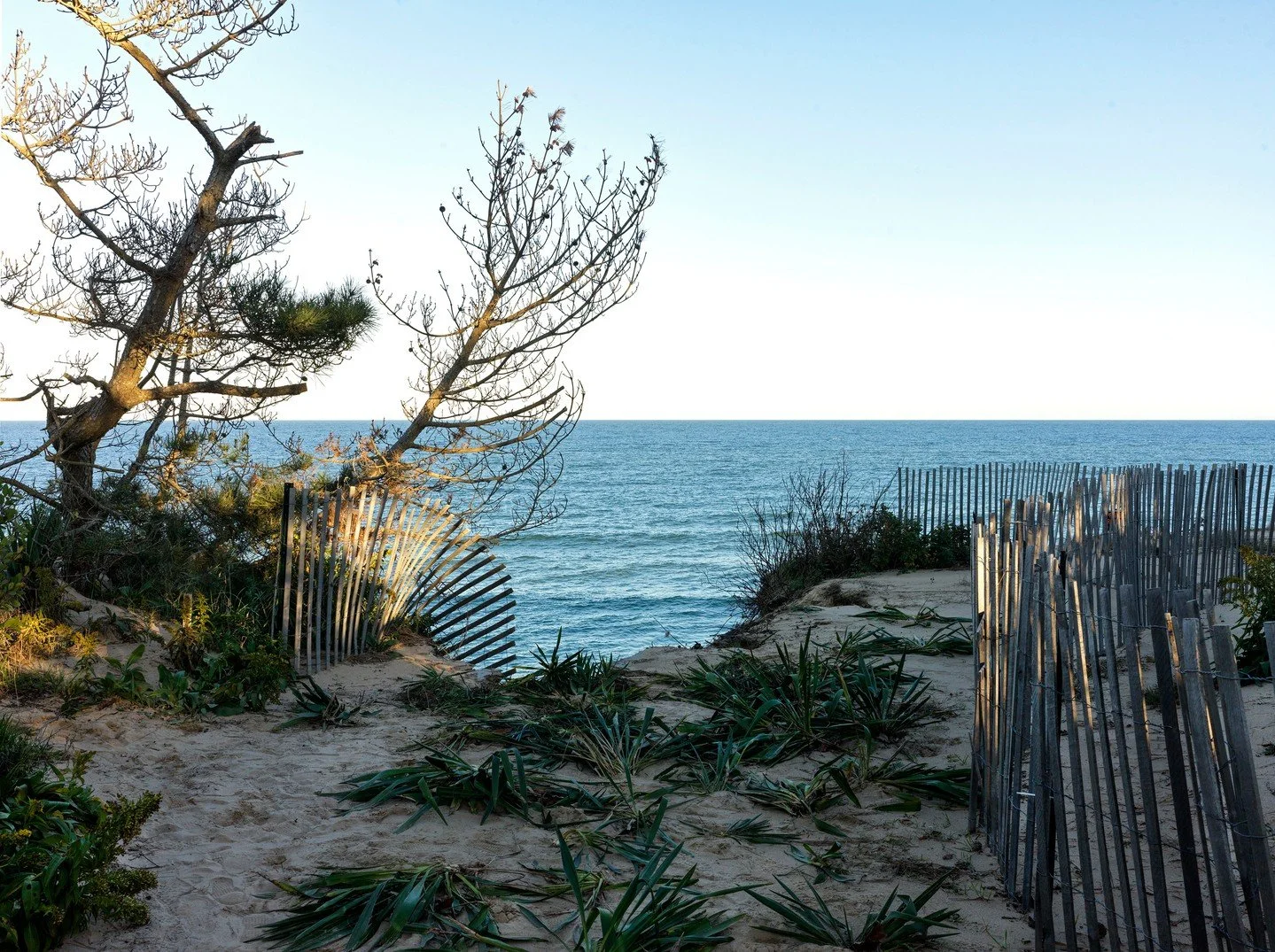 This perfect cottage on the dunes near Wellfleet - a historic seaside village on the Outer Cape of Cape Cod, Massachusetts.⁠
⁠
The shack was constructed more than a century ago by Adelaide Newhall, who, after graduating from Smith in 1906, decided th