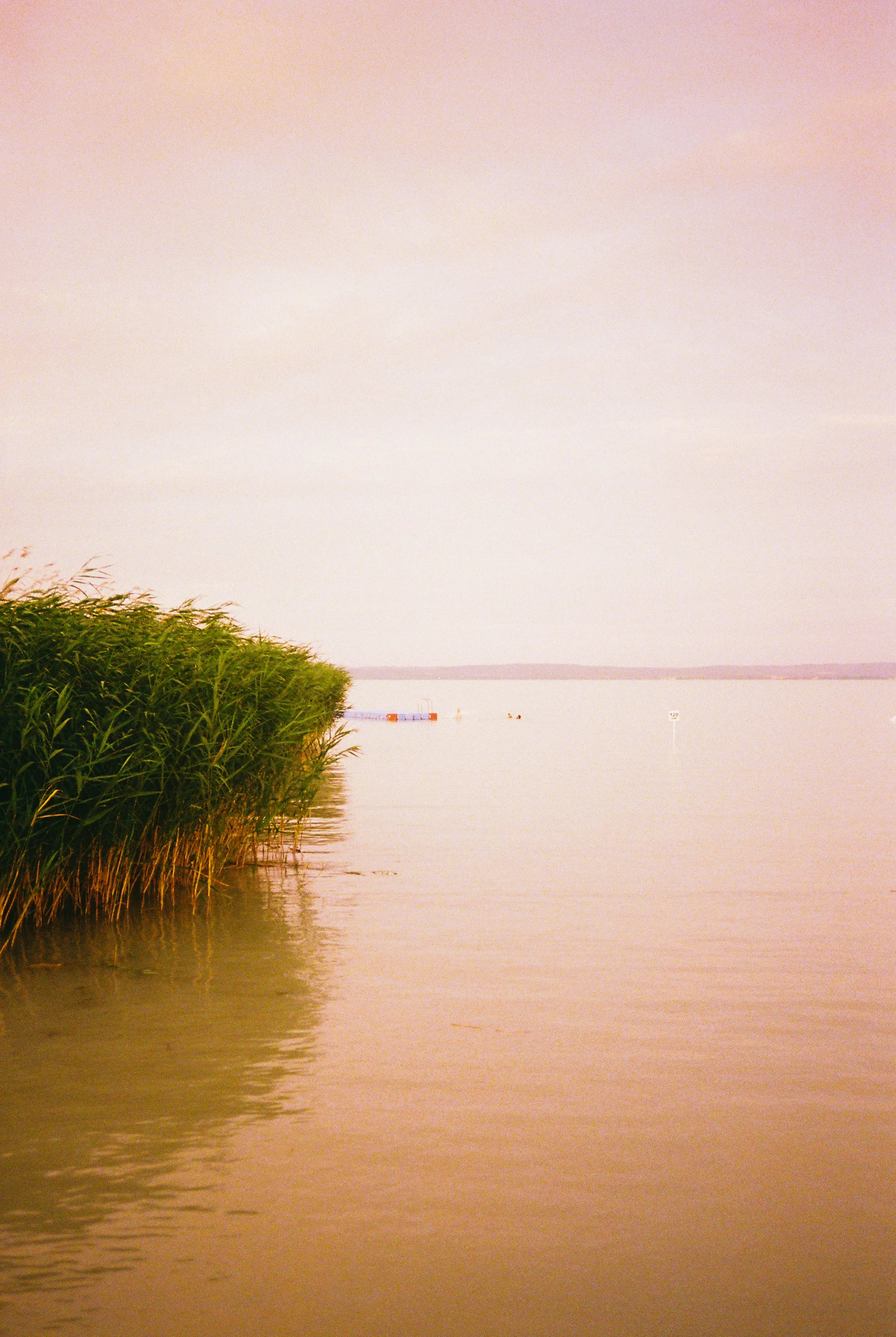 Film photography, Fuji Film, kodak film, ilford film, black and white film photography, colour film photography, art, felix higham, uk, 