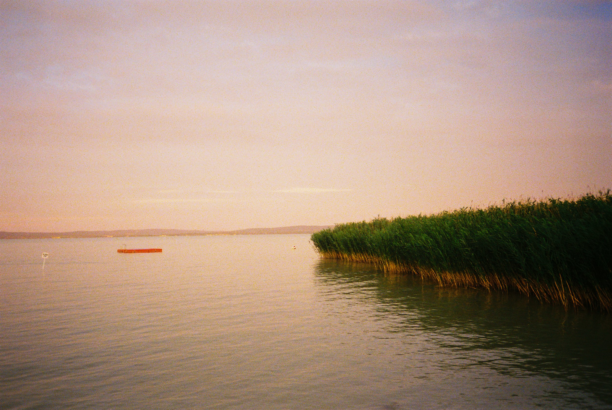 Film photography, Fuji Film, kodak film, ilford film, black and white film photography, colour film photography, art, felix higham, uk, 