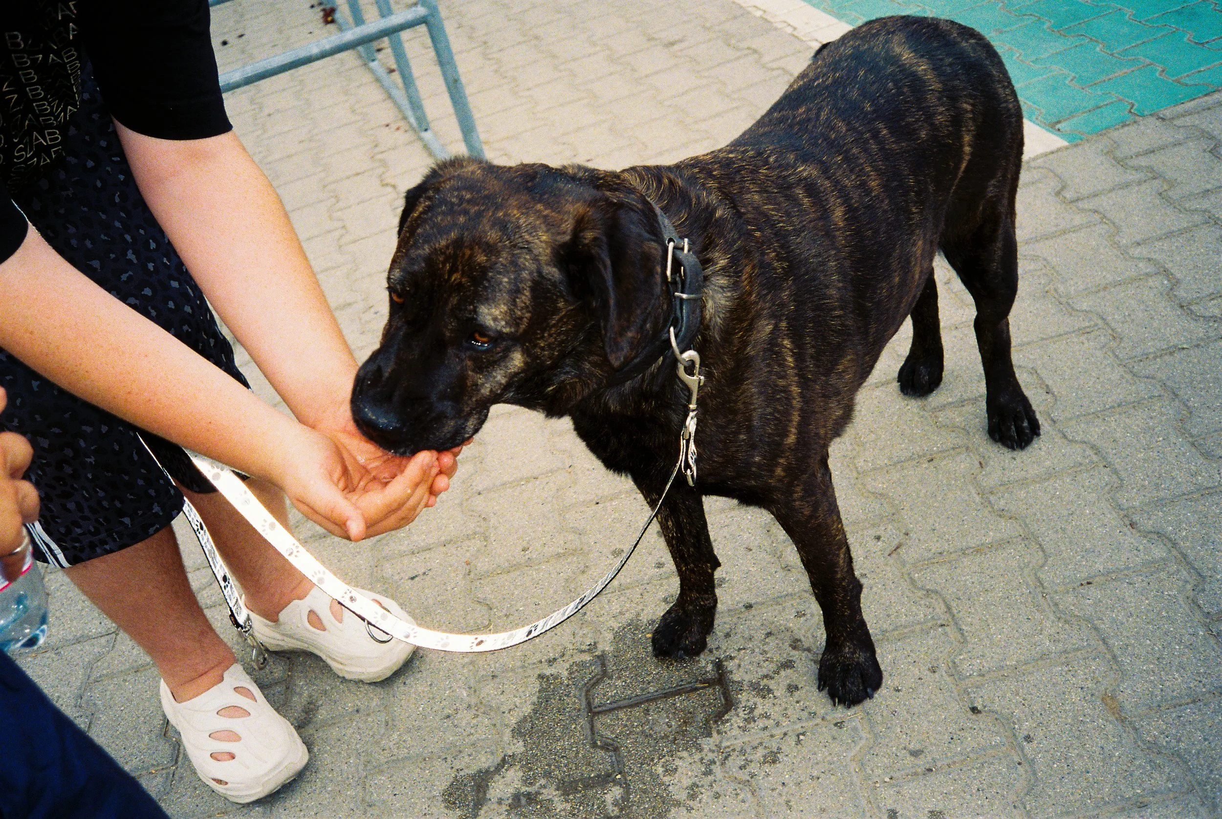 Film photography, Fuji Film, kodak film, ilford film, black and white film photography, colour film photography, art, felix higham, uk, 