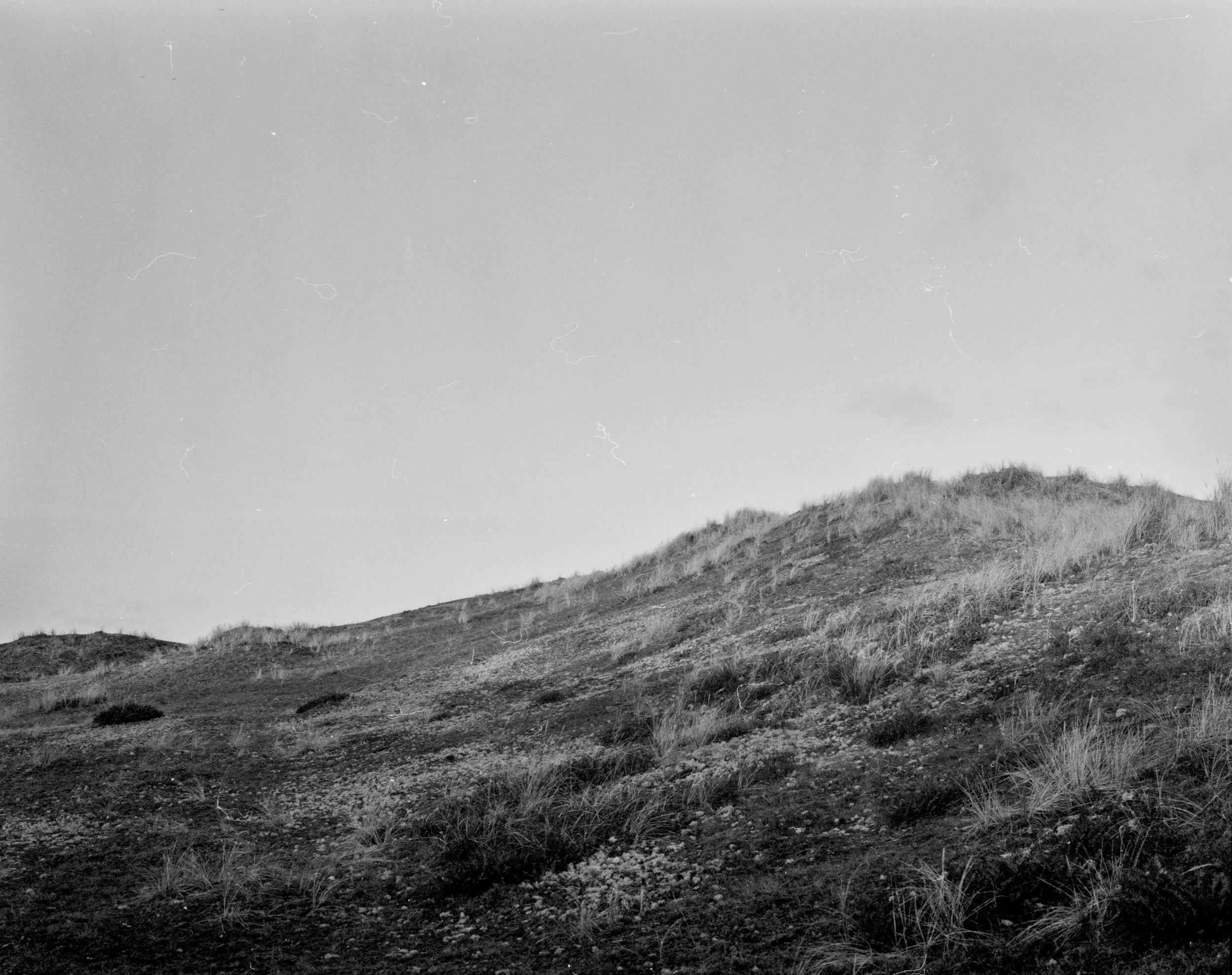 Film photography, Fuji Film, kodak film, ilford film, black and white film photography, colour film photography, art, felix higham, uk, 