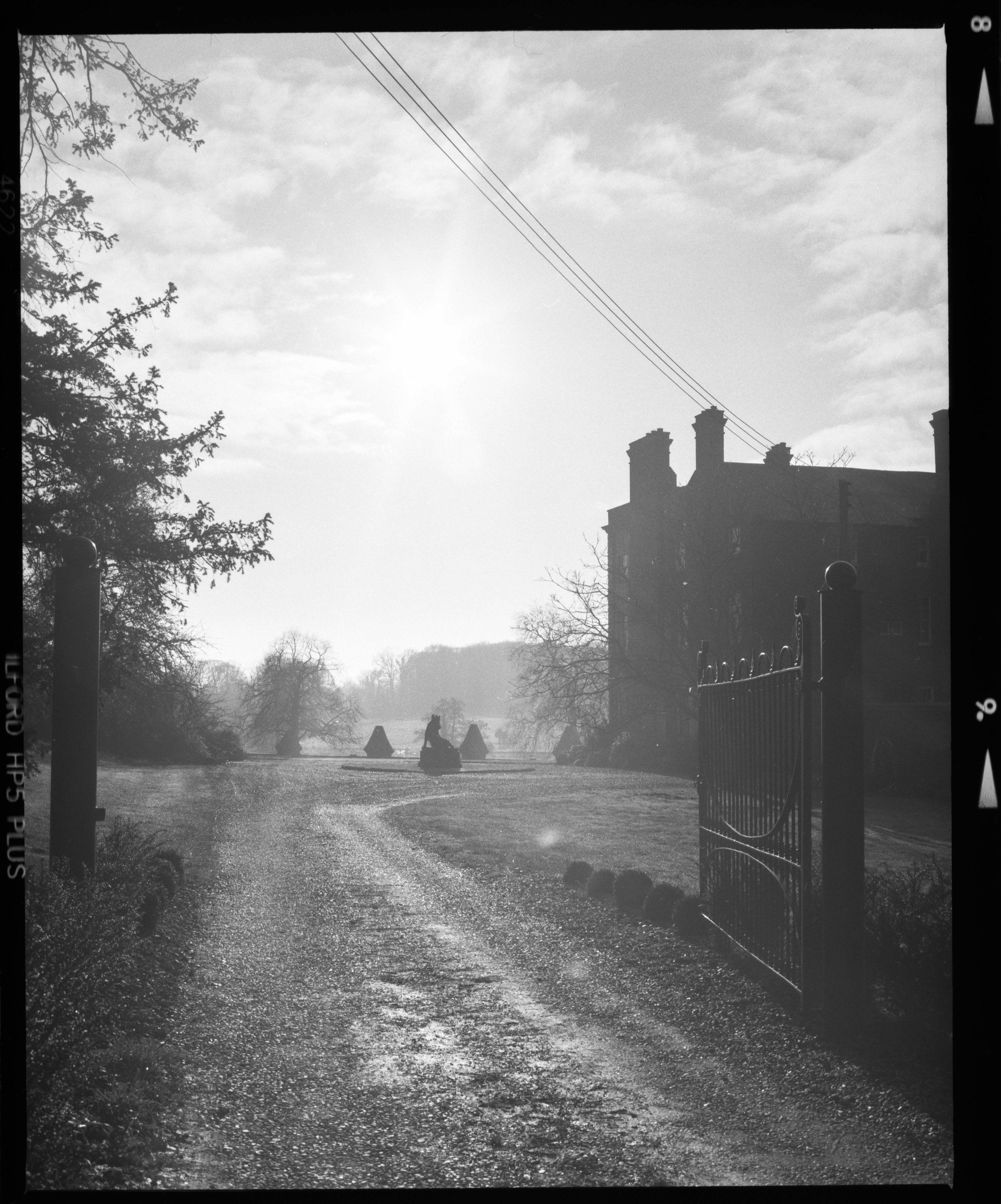 Film photography, Fuji Film, kodak film, ilford film, black and white film photography, colour film photography, art, felix higham, uk, 