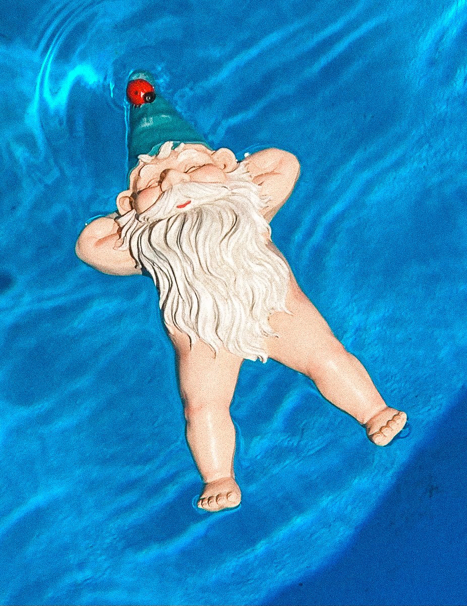 A gnome with a long white beard is floating on his back in a blue pool, wearing a tall, pointed blue hat with a red pom-pom.
