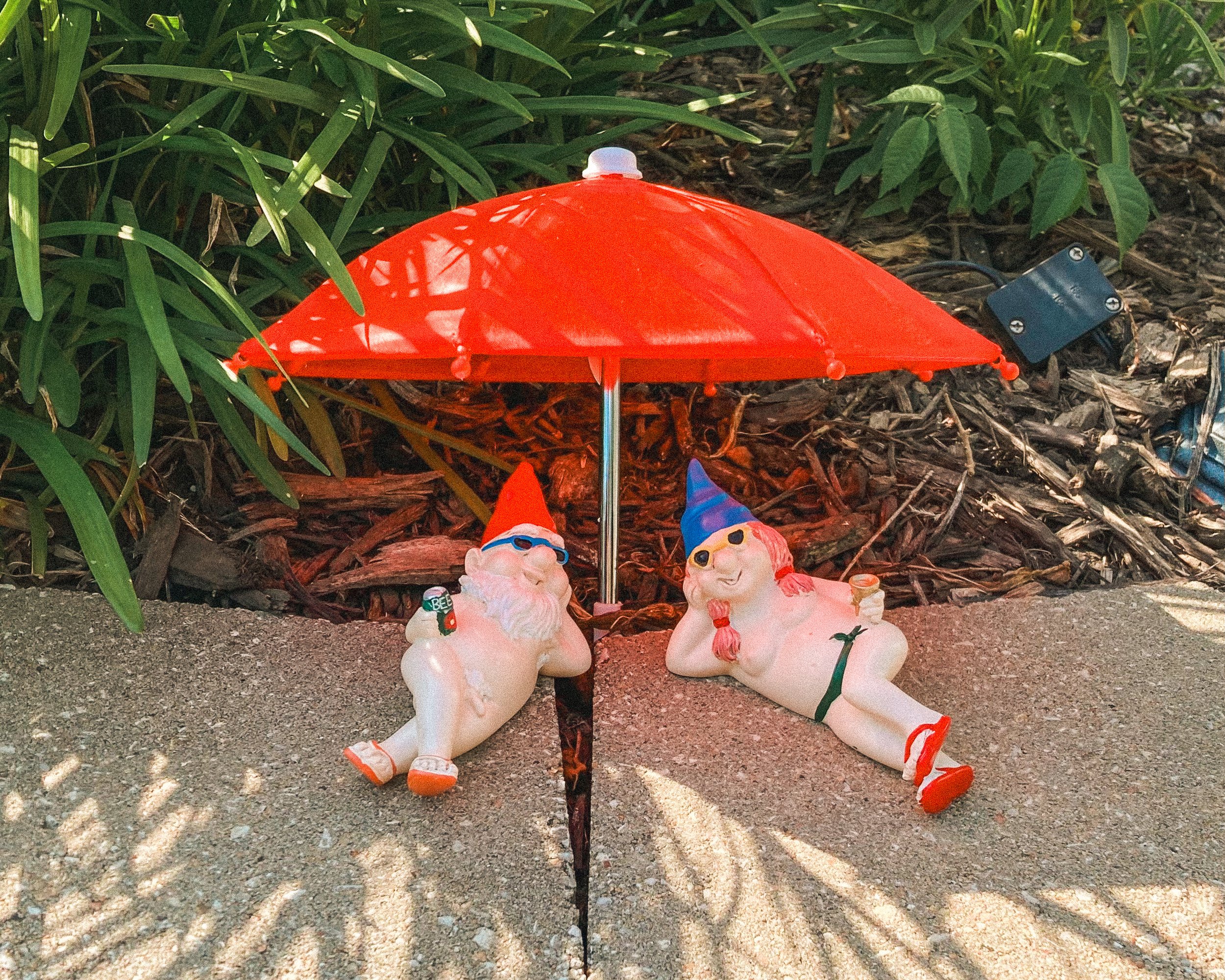 Two garden gnome figurines with clown hats and sunglasses are lying under a small red umbrella on a concrete surface, surrounded by greenery.