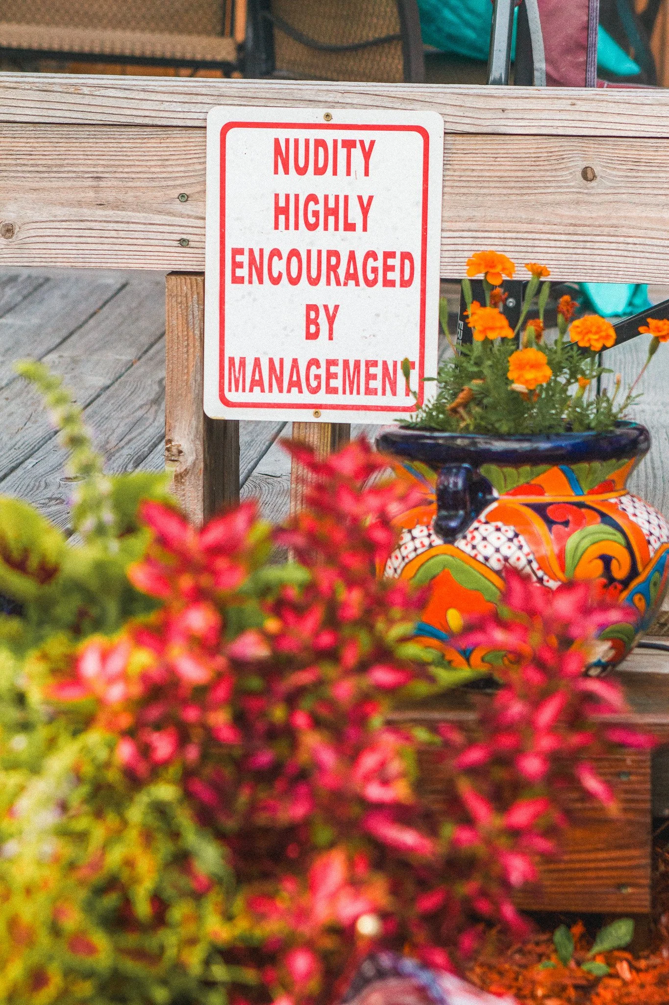 A red and white sign on a wooden surface that reads 'Nudity Highly Encouraged by Management', surrounded by colorful flowers and a decorative planter.