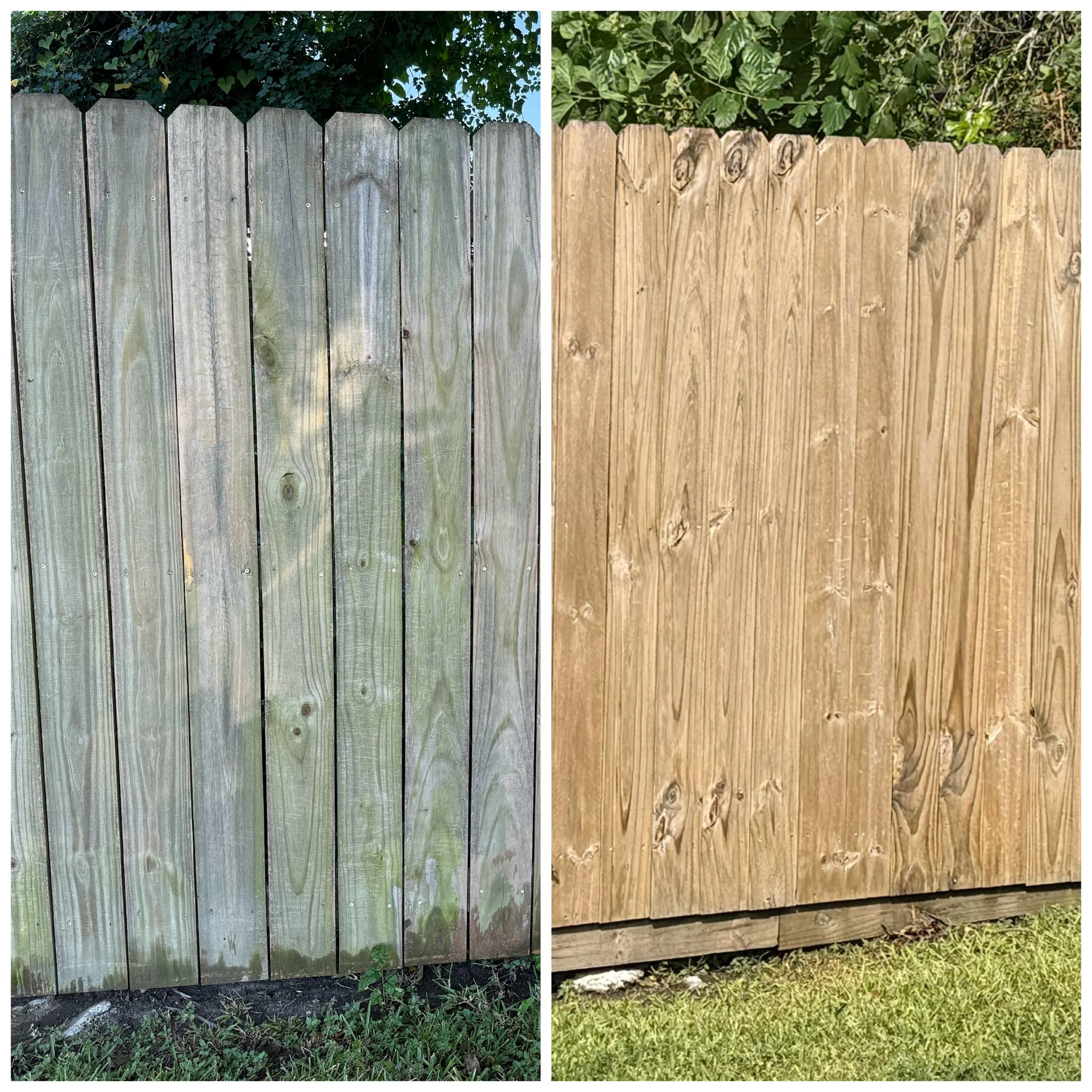 A before and after photo of a wooden fence in Chalmette, LA that was professionally cleaned using specialized algicides and wood brighteners to bring back its natural beauty.