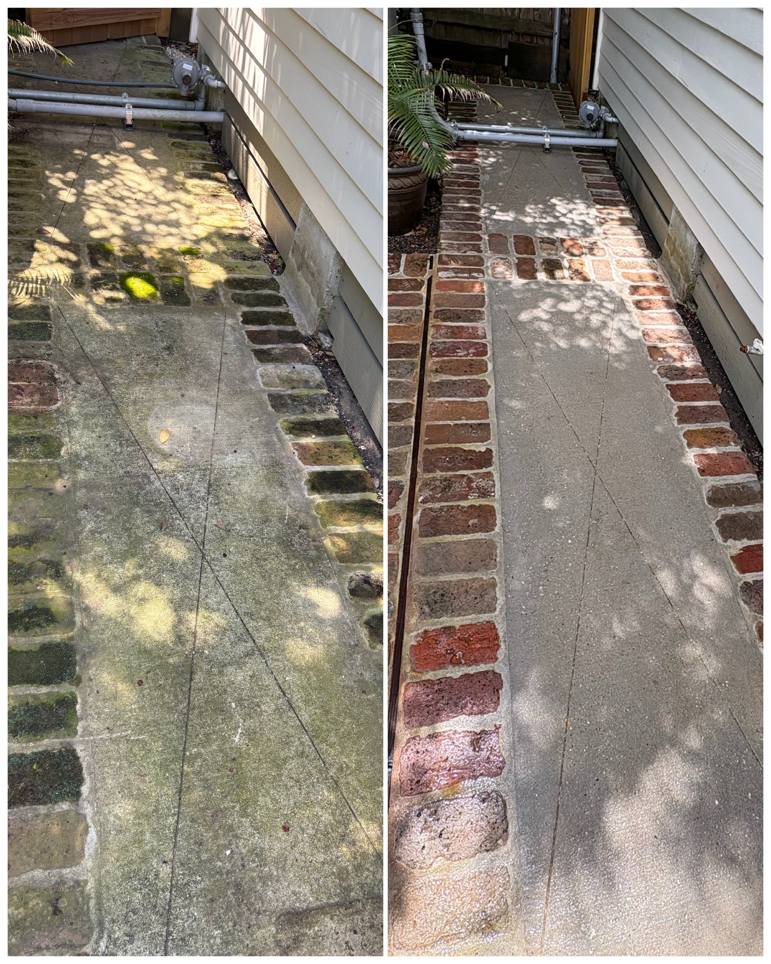 A before and after photo of a slippery sidewalk in the Garden District of New Orleans, LA, where thick green algae was treated with an algicide for long-lasting results and cleaned using a professional surface cleaner.