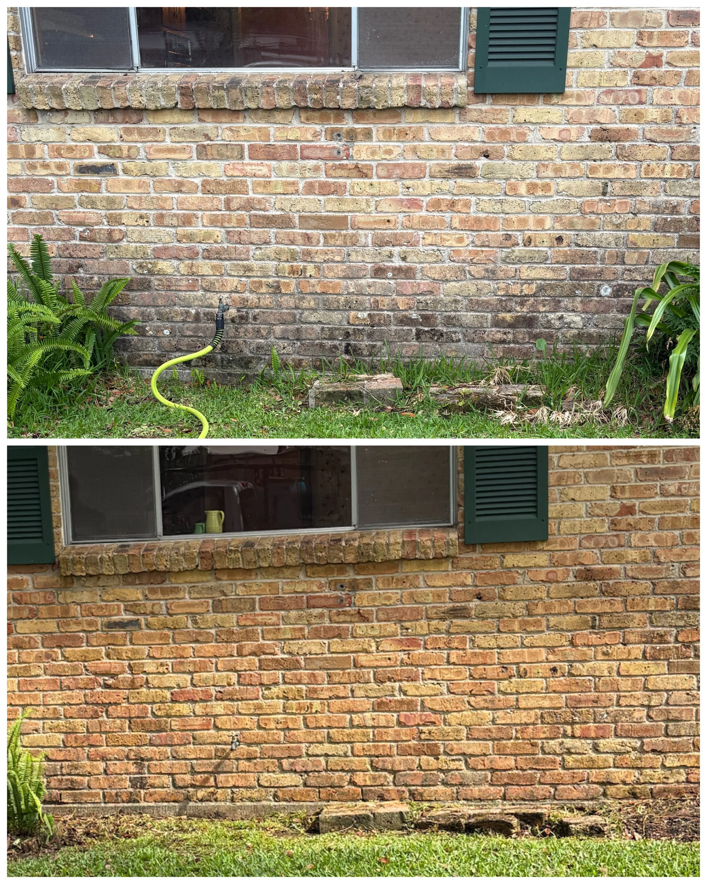 A before and after photo showcasing the removal of black mold and algae after soft washing a brick home in Metairie, LA.