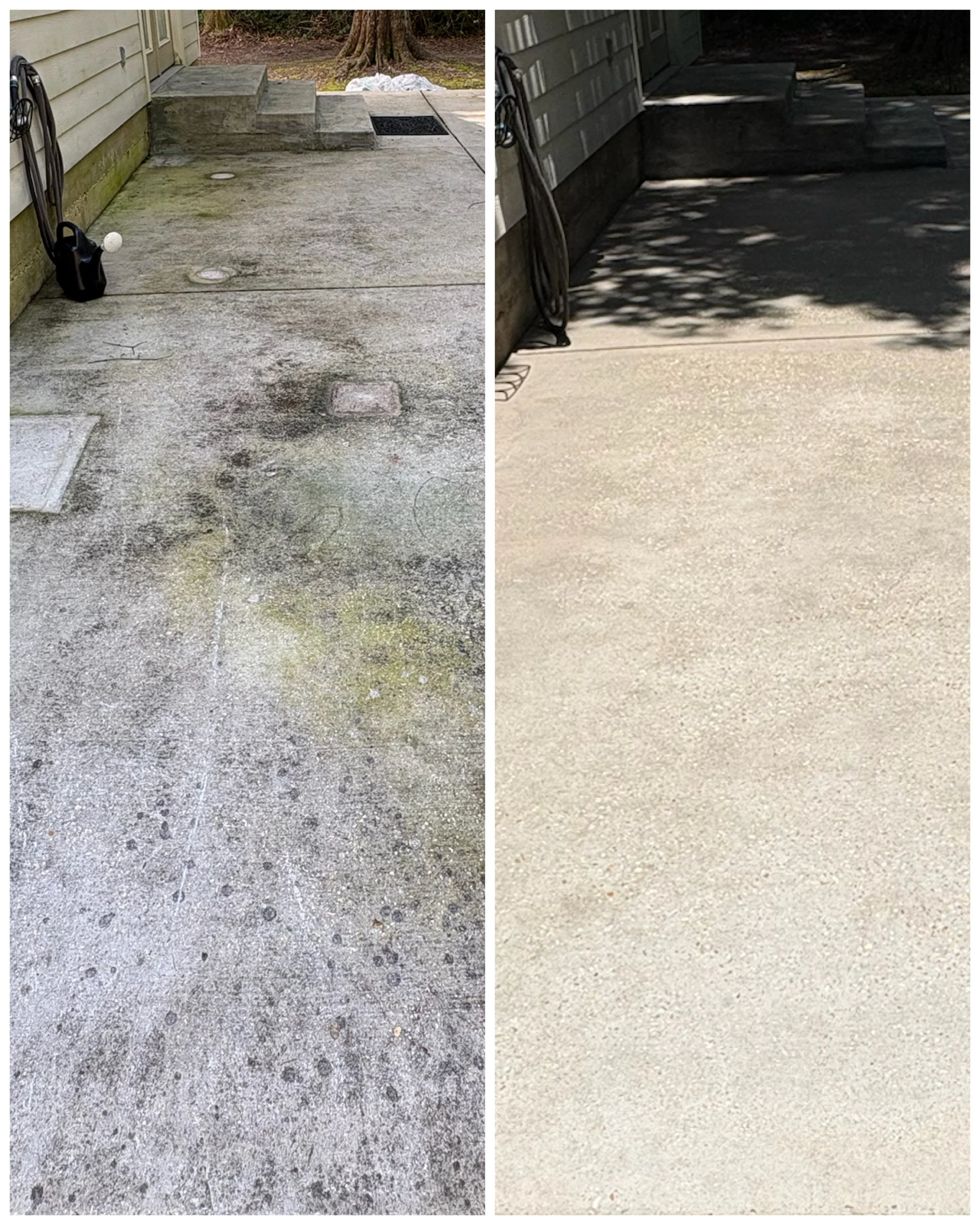A side-by-side before and after photo of a concrete patio cleaning service in Covington, LA, showcasing the total removal of slick green algae, black mold, and deep-seated grime.
