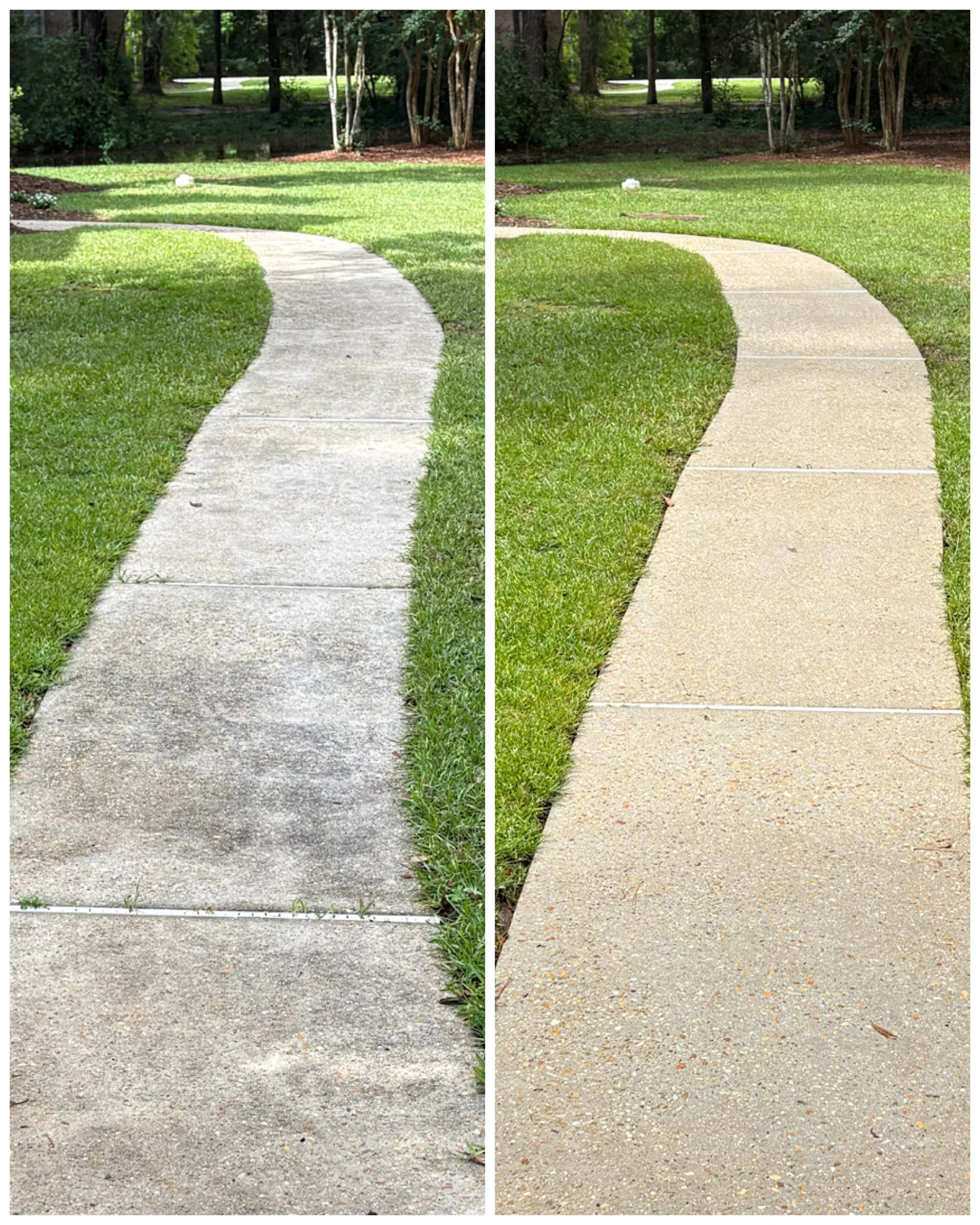 A before and after comparison of a concrete sidewalk in Mandeville, LA after a professional surface cleaner removed years of dirt, mold, and algae.