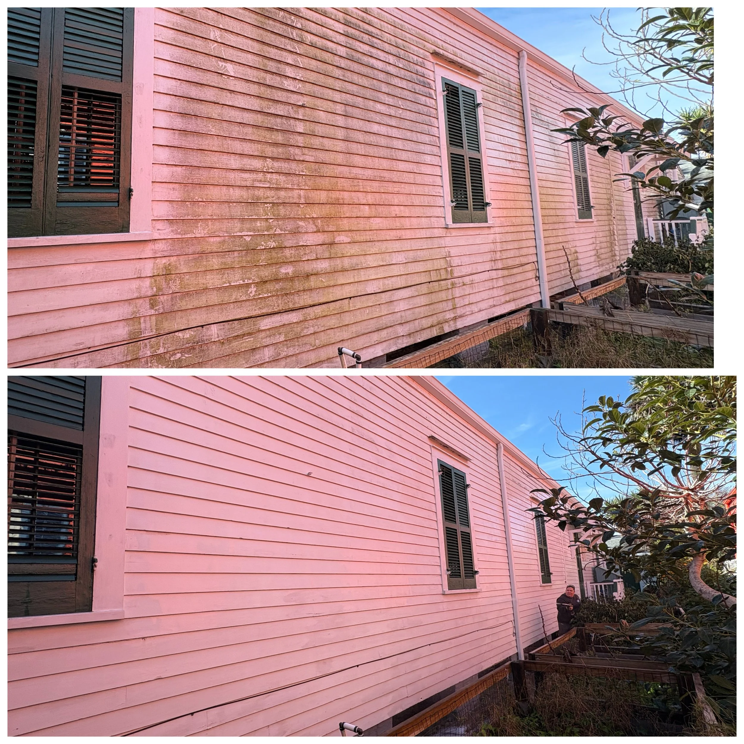Comparison of house wall before and after cleaning, showing removal of dirt, grime, and mold from pink horizontal siding, with a person standing near the house in the clean version.