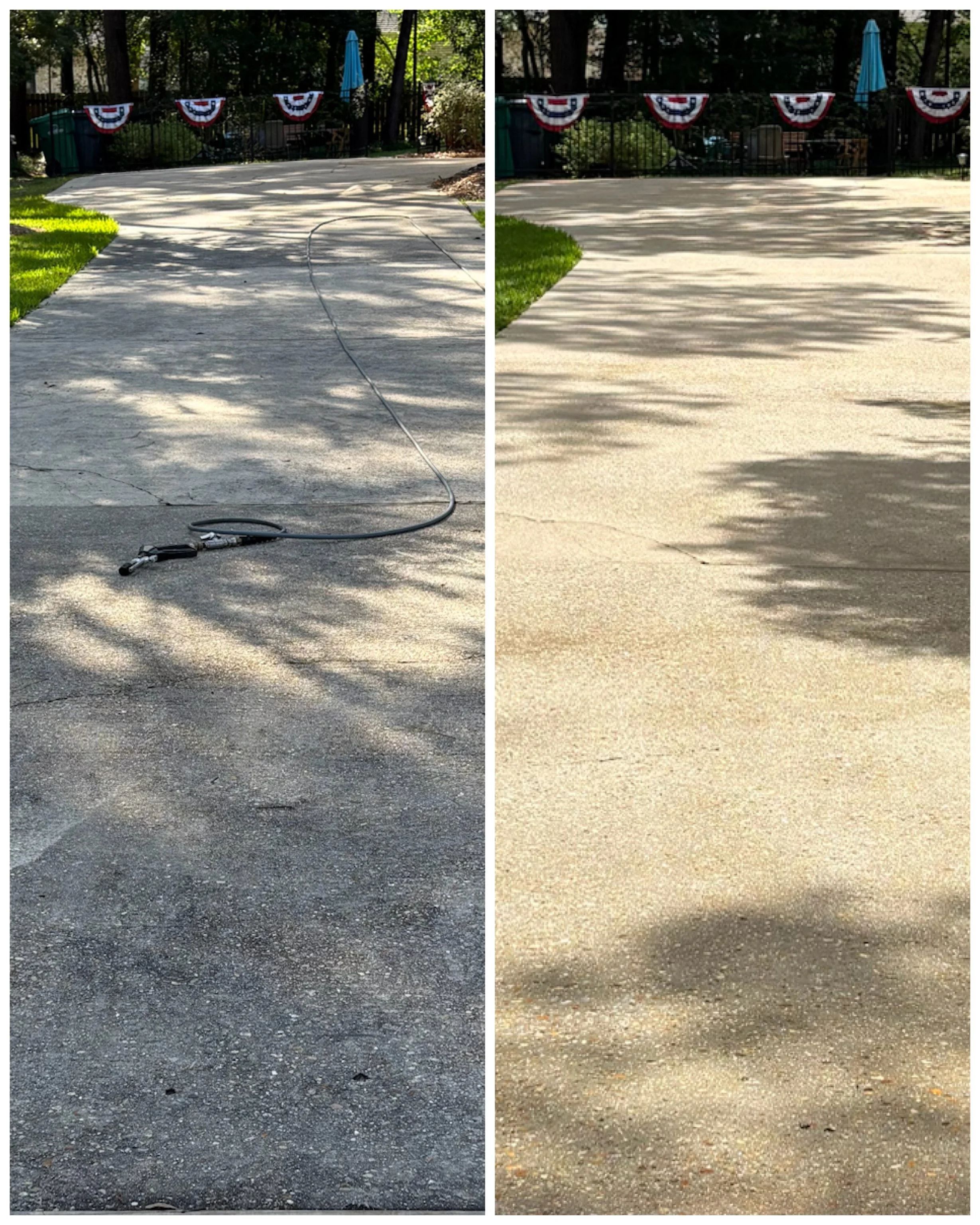A before and after comparison photo of a concrete driveway in Mandeville, LA showcasing the removal of years of black mold, algae, and grime using a professional surface cleaner.
