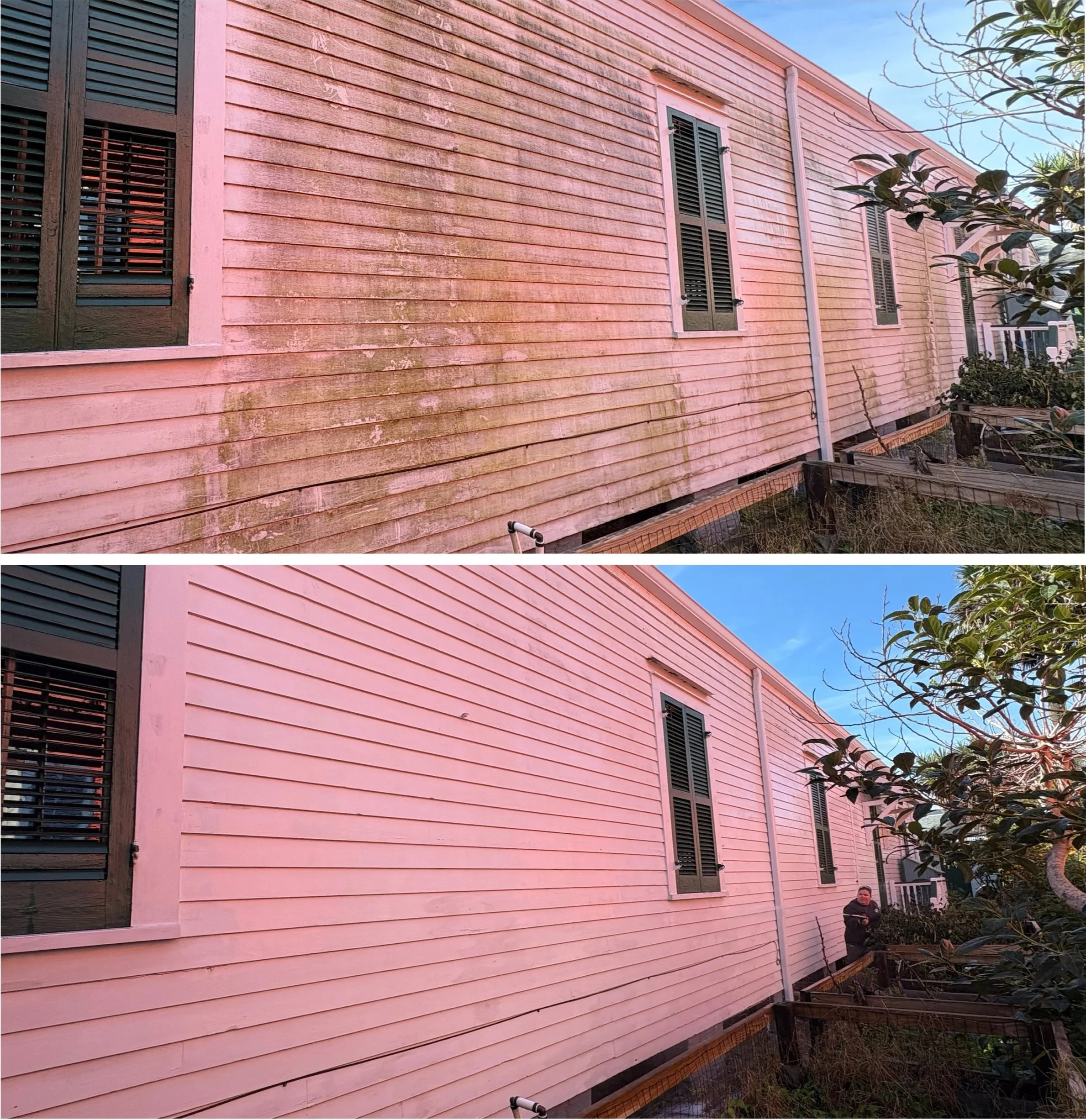 Side view of a pink wooden house with multiple windows with black shutters, some with blinds, and a person standing near a garden with plants and trees, under a blue sky.