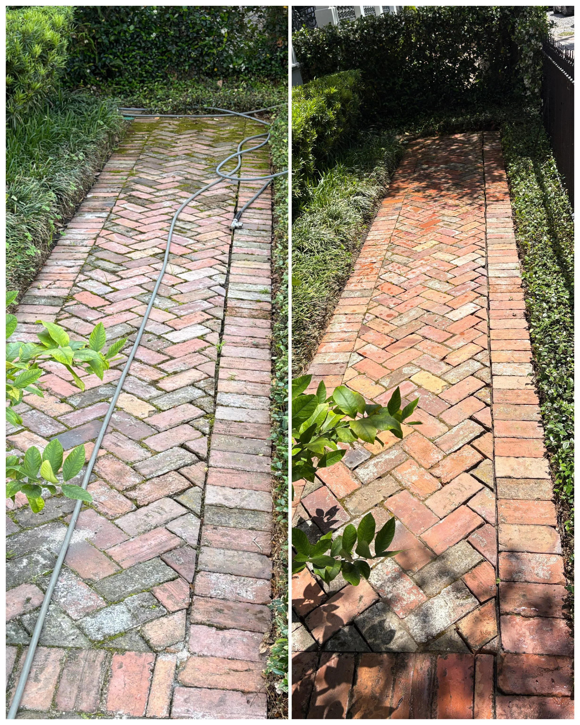 Side-by-side comparison of a brick walkway before and after cleaning. The left image shows the walkway with moss and dirt, a garden hose laid across it. The right image shows the same walkway cleaned, with the bricks appearing brighter and free of mo