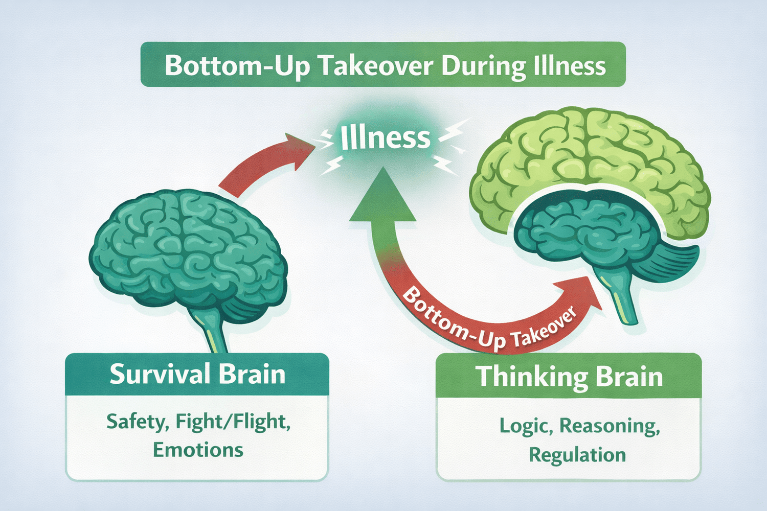 Two brain illustrations side by side, labeled 'Survival Brain' (safety, fight/flight, emotions) and 'Thinking Brain' (logic, reasoning, regulation), with arrows pointing toward a central 'Illness' label showing how illness drives a Bottom-Up Takeover from the thinking brain to the survival brain.