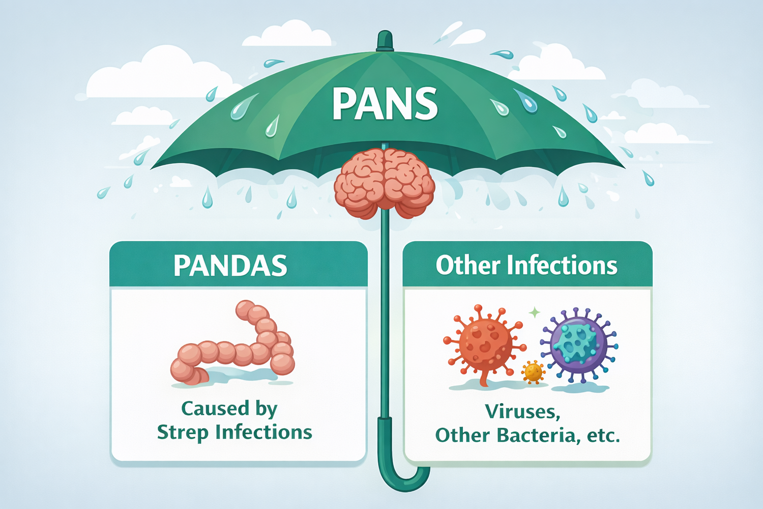 A green umbrella labeled PANS covering two cards: PANDAS (caused by strep infections) and Other Infections (viruses, other bacteria, etc.). PANS is the umbrella; PANDAS is one subset.