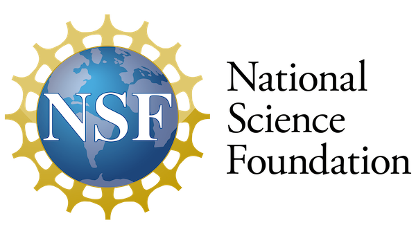 US National Science Foundation