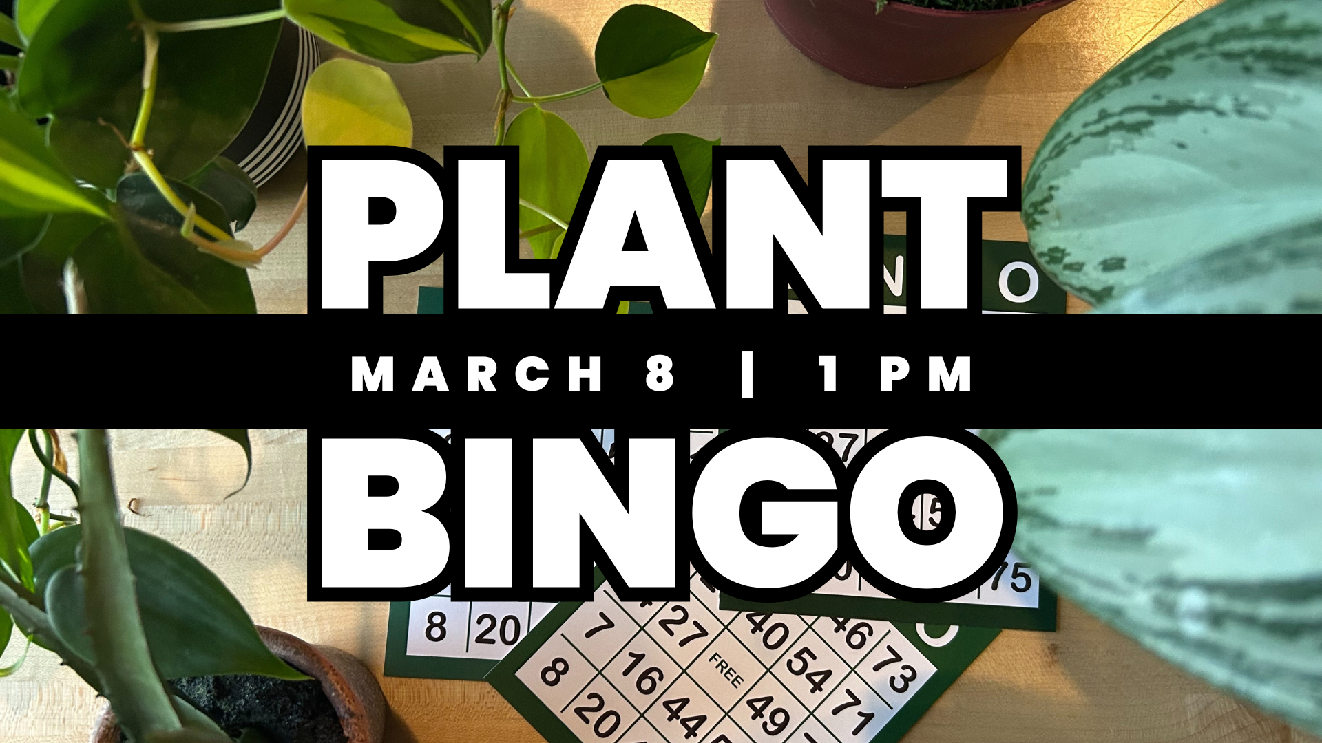 Plant BINGO