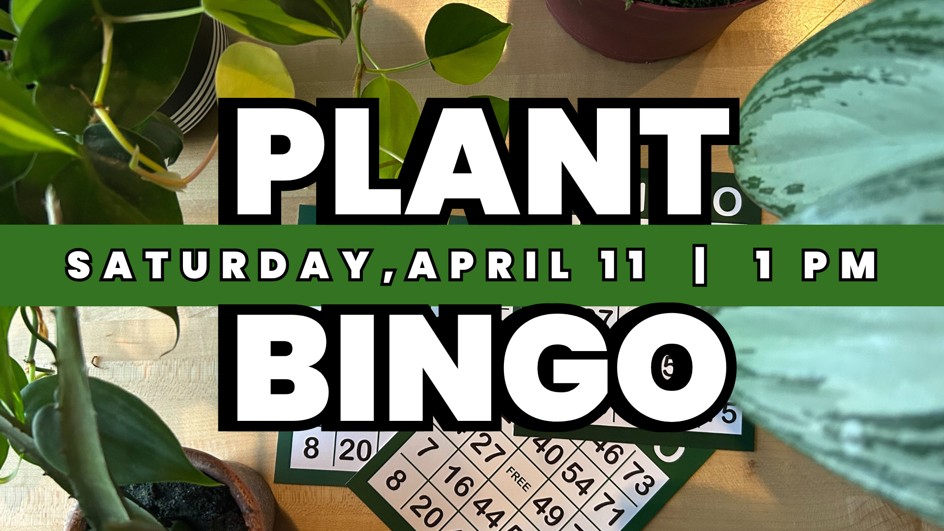 Plant BINGO