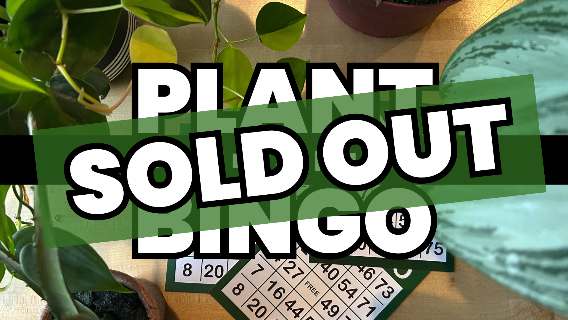 Plant BINGO