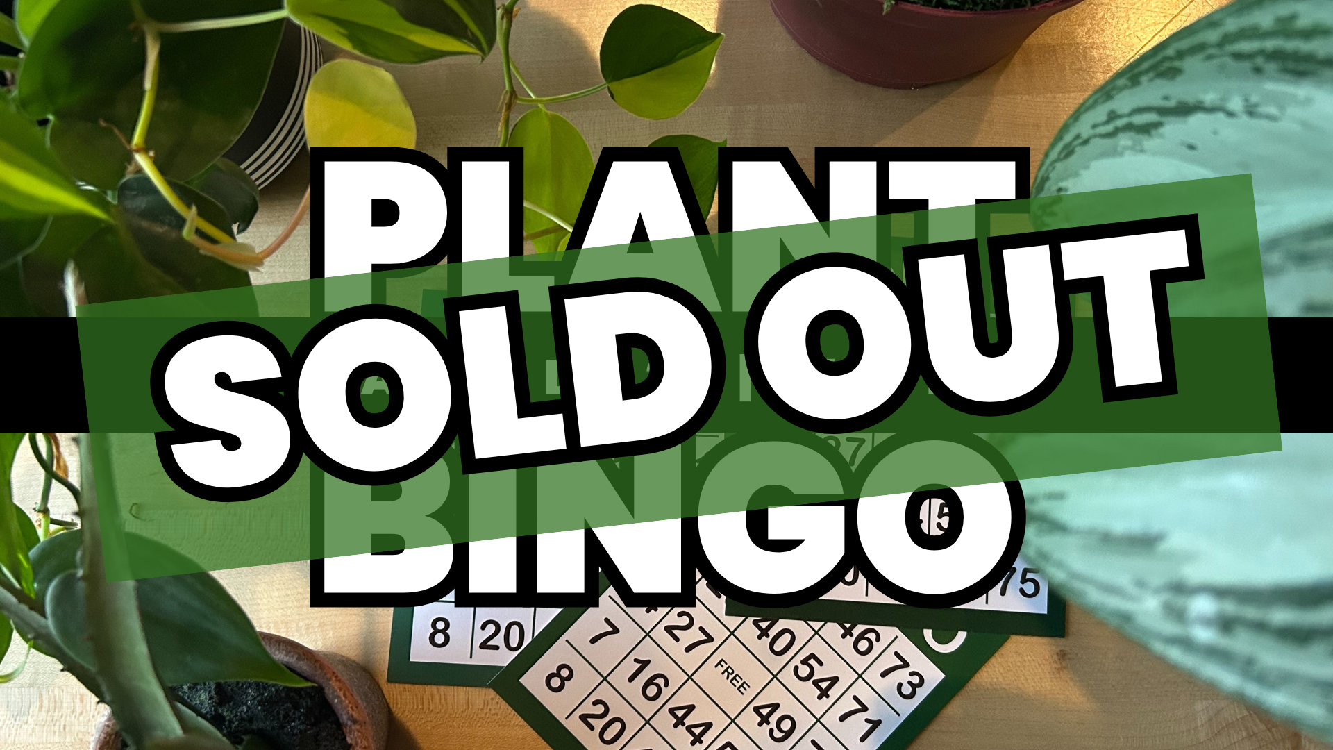 Plant BINGO