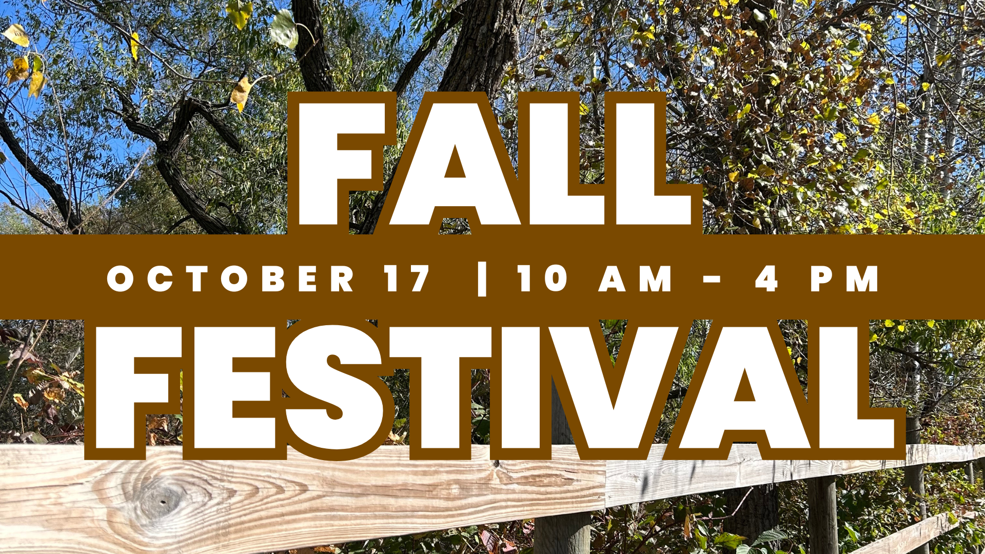 Fall Festival