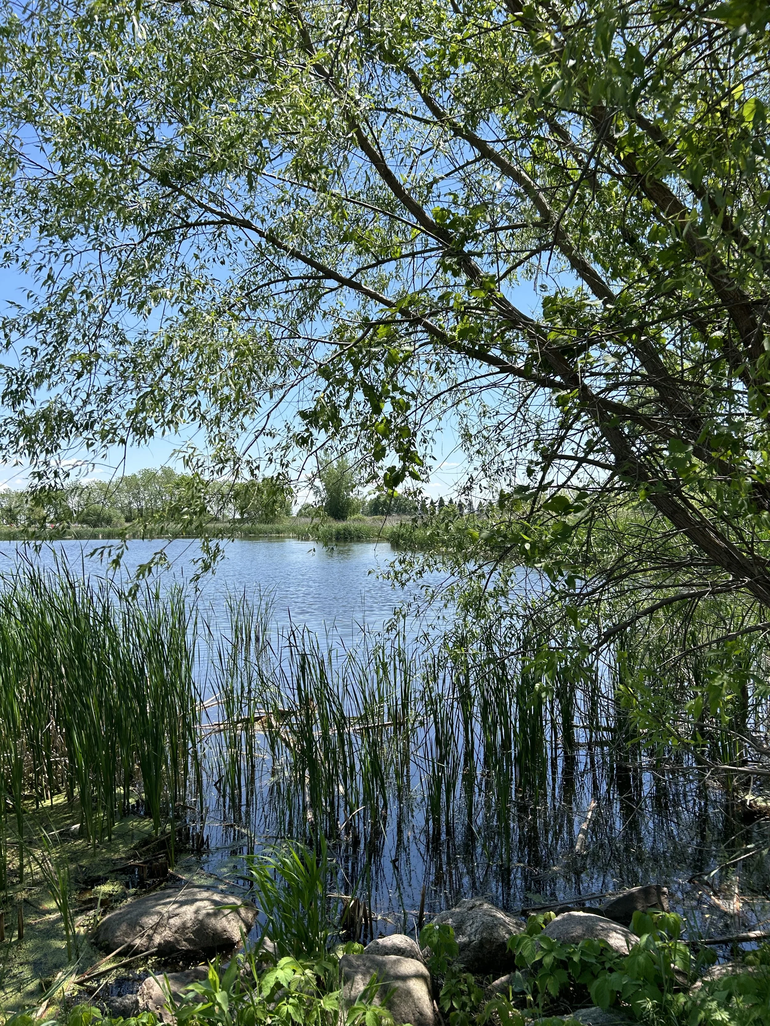 Photo May 23 2024, 1 15 21 PM.jpg