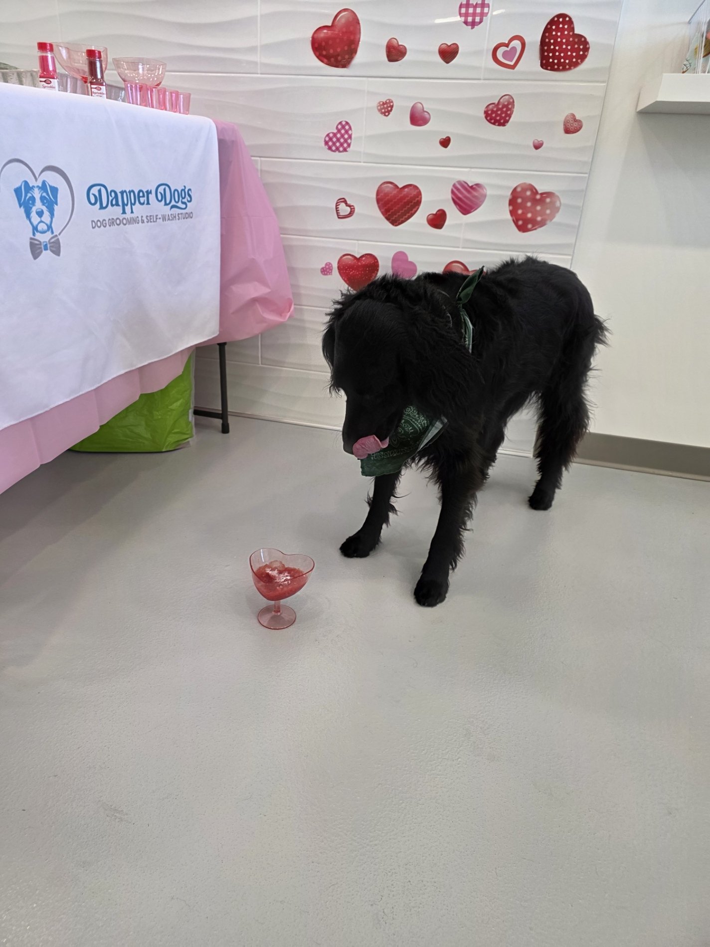 Dapper-Dogs-Eden-Prairie-Valentine-Event 1.jpg