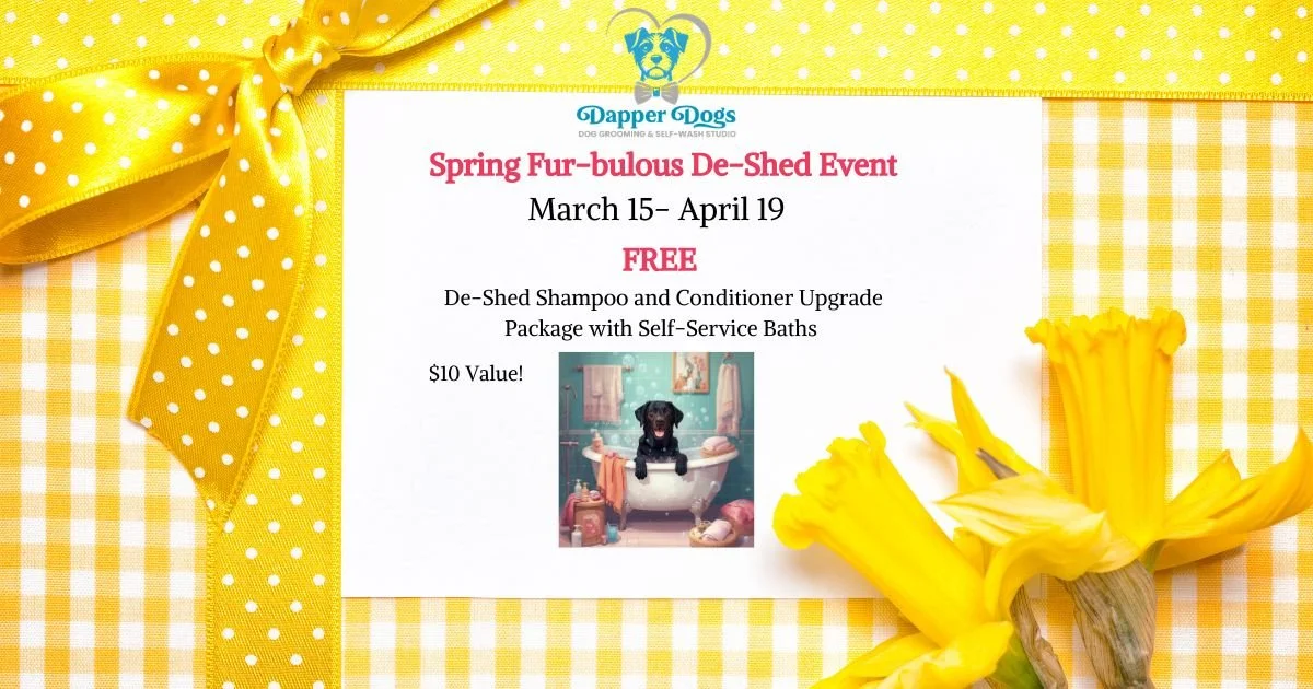 SPRING FUR-BULOUS DE-SHED SOLUTION 