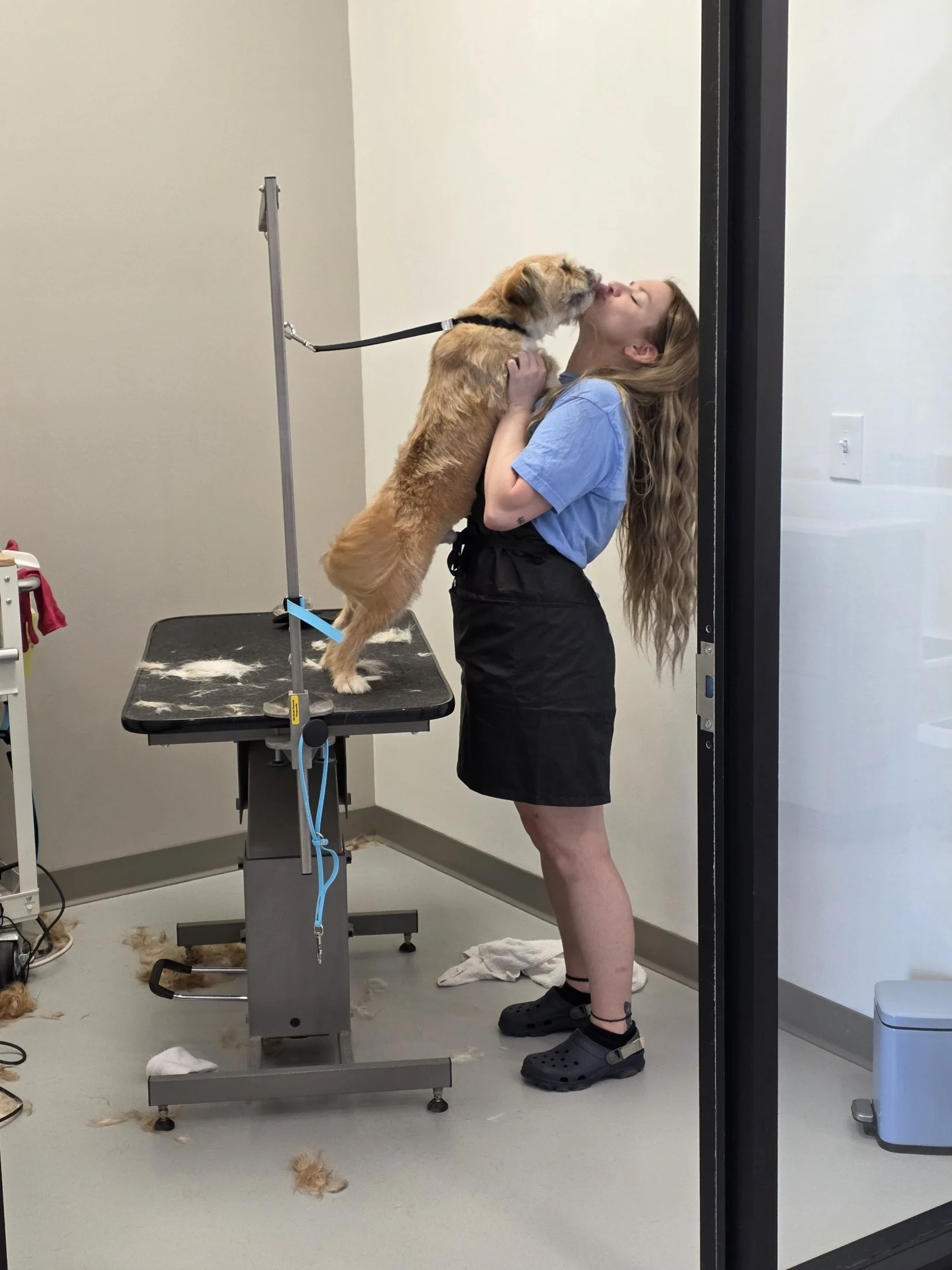 Jordyn - Dog-Groomer - Dapper -Dogs- Eden-Prairie-Dog- Rescue.jpg
