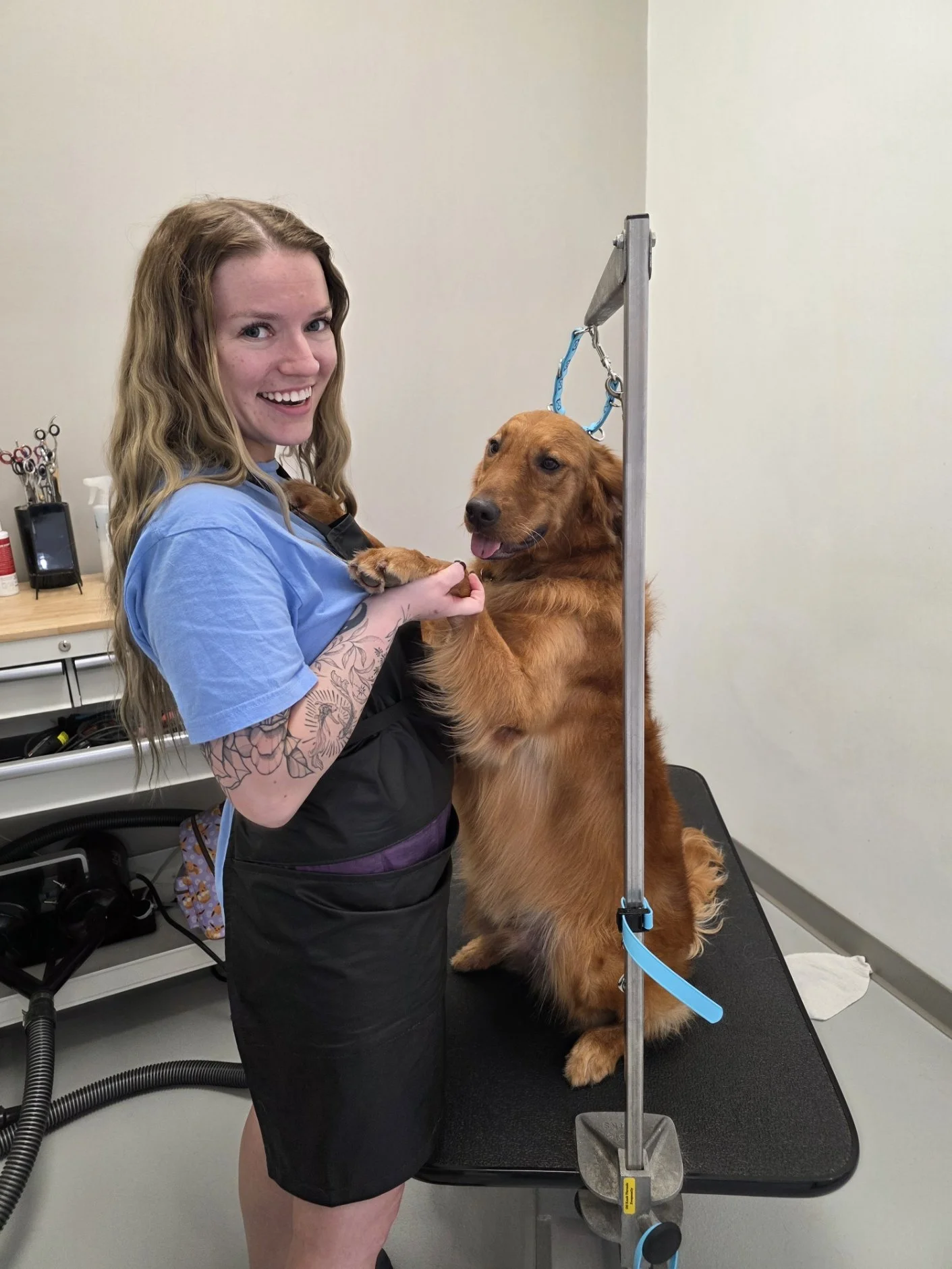 Dapper-Dogs - Golden Retriever - Dog-Grooming - Eden-Prairie .jpg