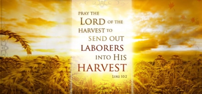 Come Labor On