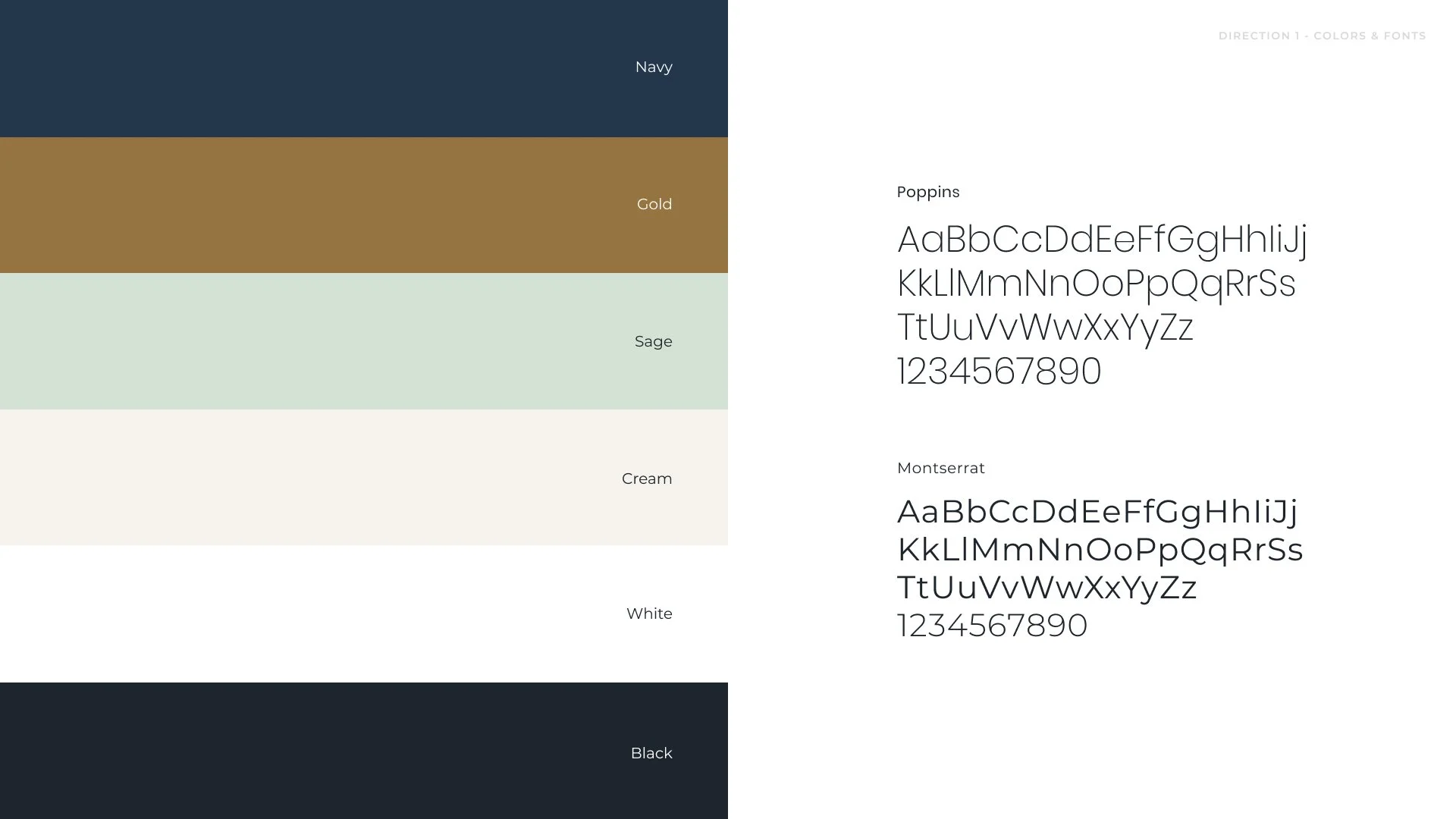 07 Color Palette.jpg