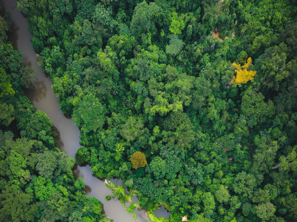 Pasofino Gold Limited Receives Final Order Approving Arrangement