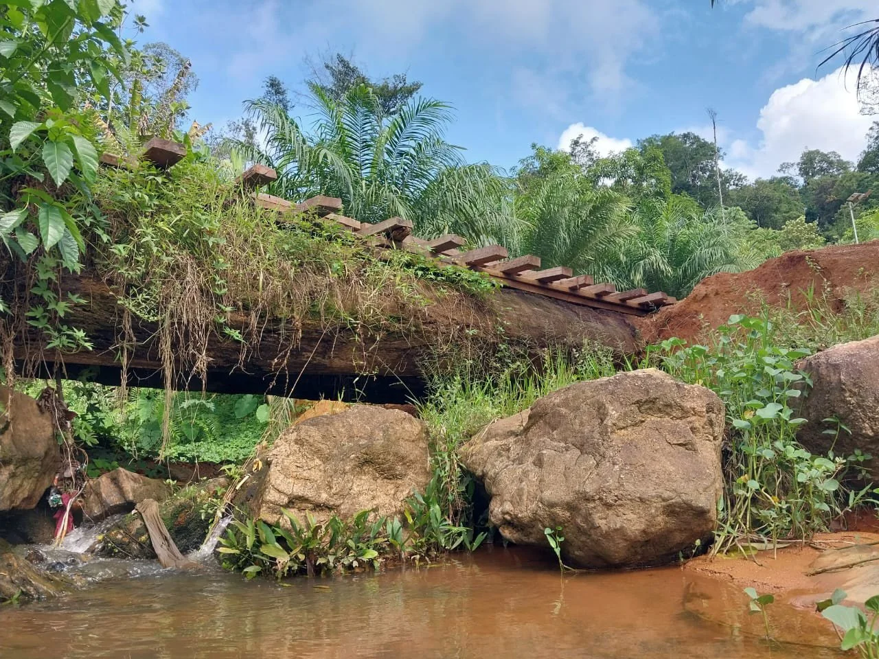 Pasofino Securityholders Approve Arrangement with Mansa Resources