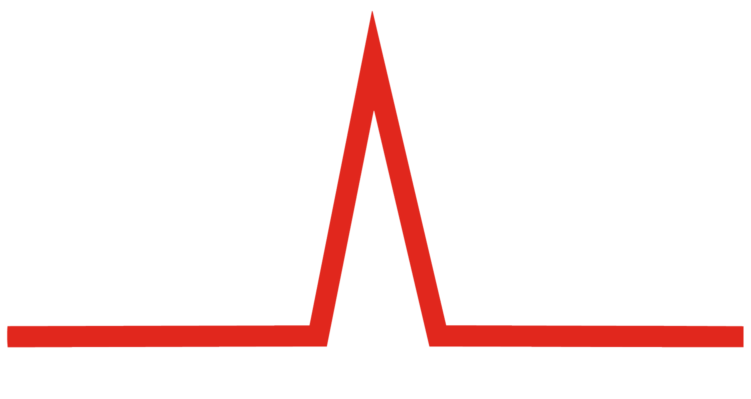CAS Consolidated Analytical Systems