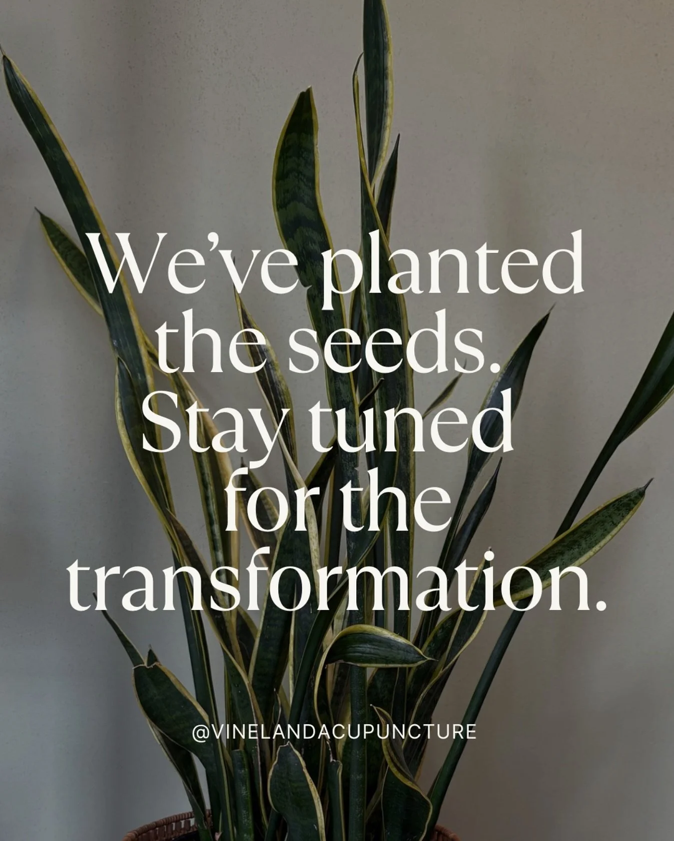 So I have a big announcement&hellip; WE ARE GETTING WALLS. Like, actual walls&mdash;all the way to the ceiling.

When I changed my business model five years ago from group-style acupuncture to private sessions, I wasn&rsquo;t totally sure it was goin