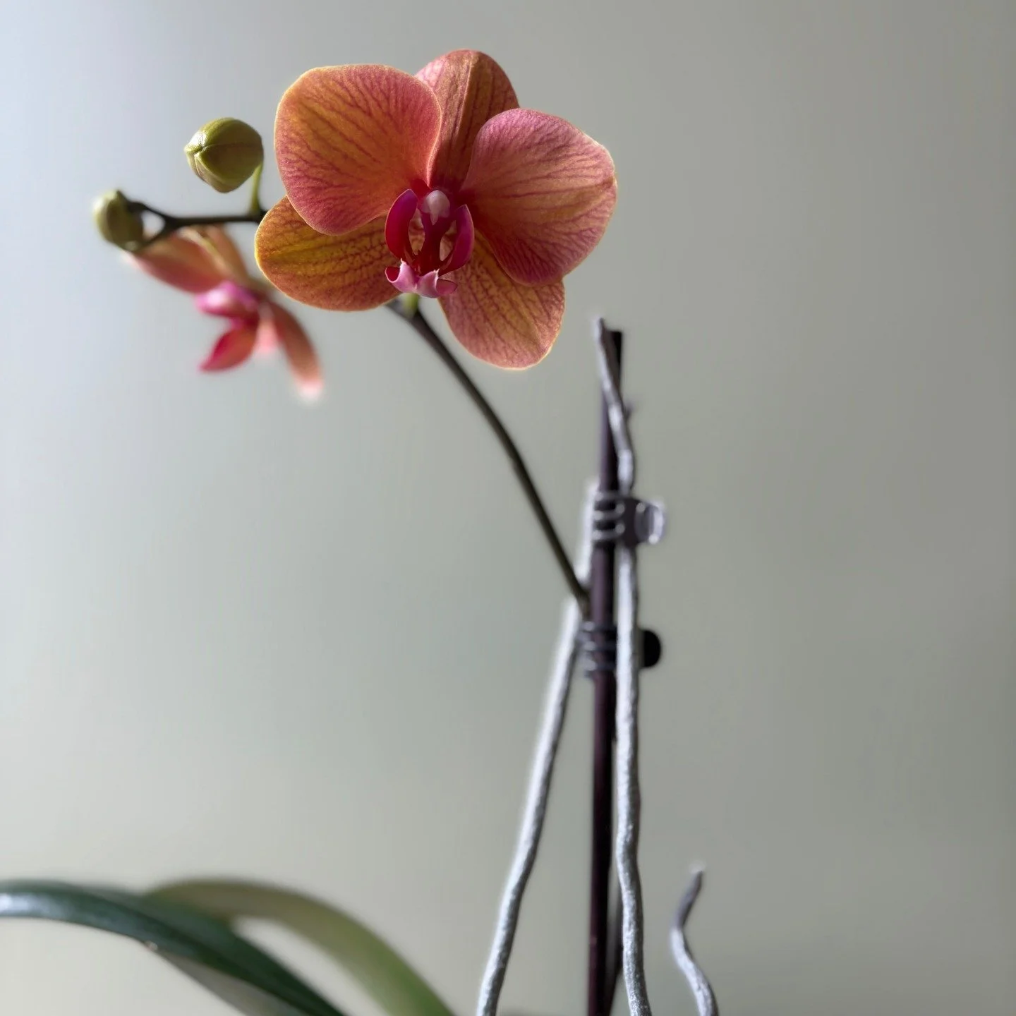 Let&rsquo;s talk HOT FLASHES. One minute, you&rsquo;re fine. The next, you&rsquo;re burning up from the inside out. Your face flushes, your clothes feel like they are choking your arms and legs, and the heat seems to come out of nowhere&mdash;sometim